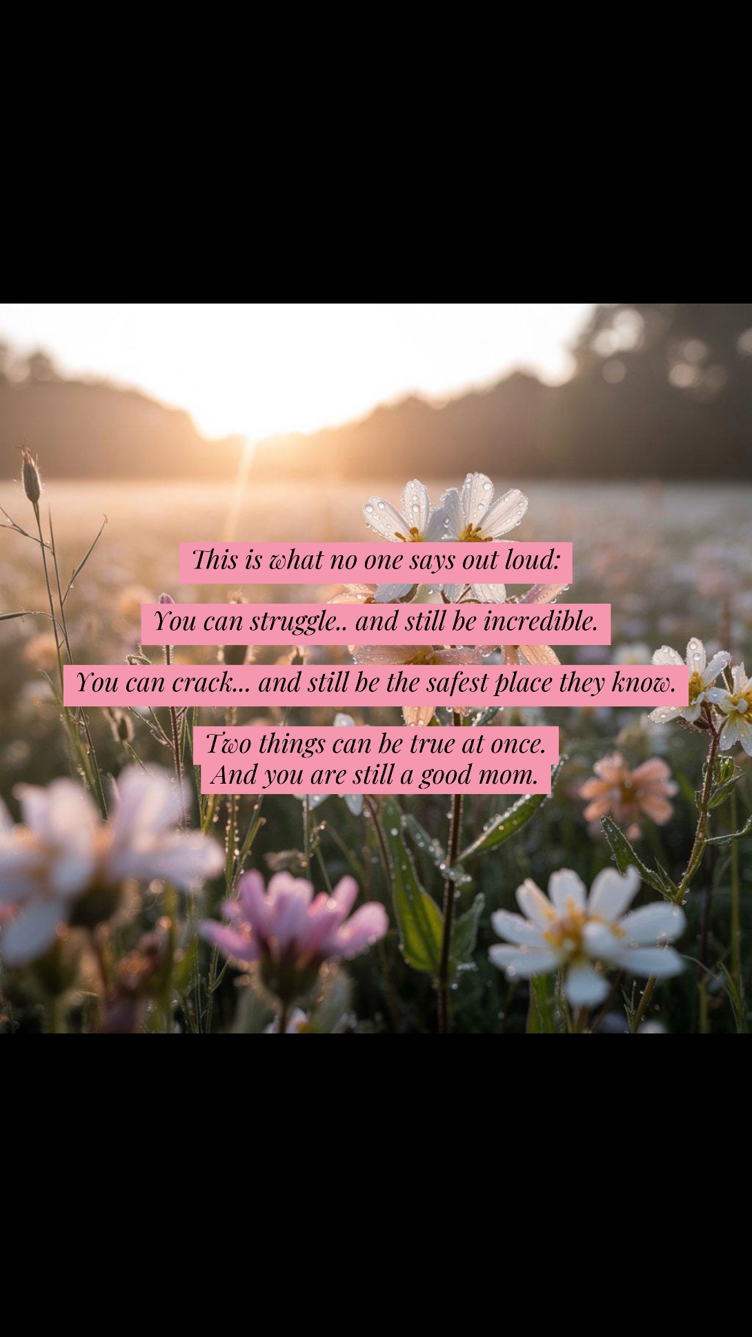 @✨ Rachael Glithero ✨