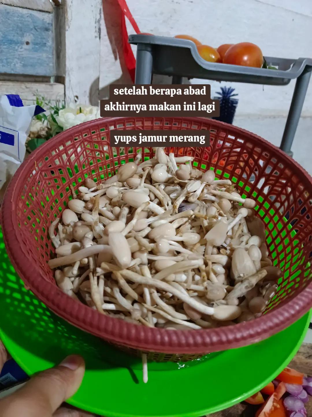 @wajan bolong