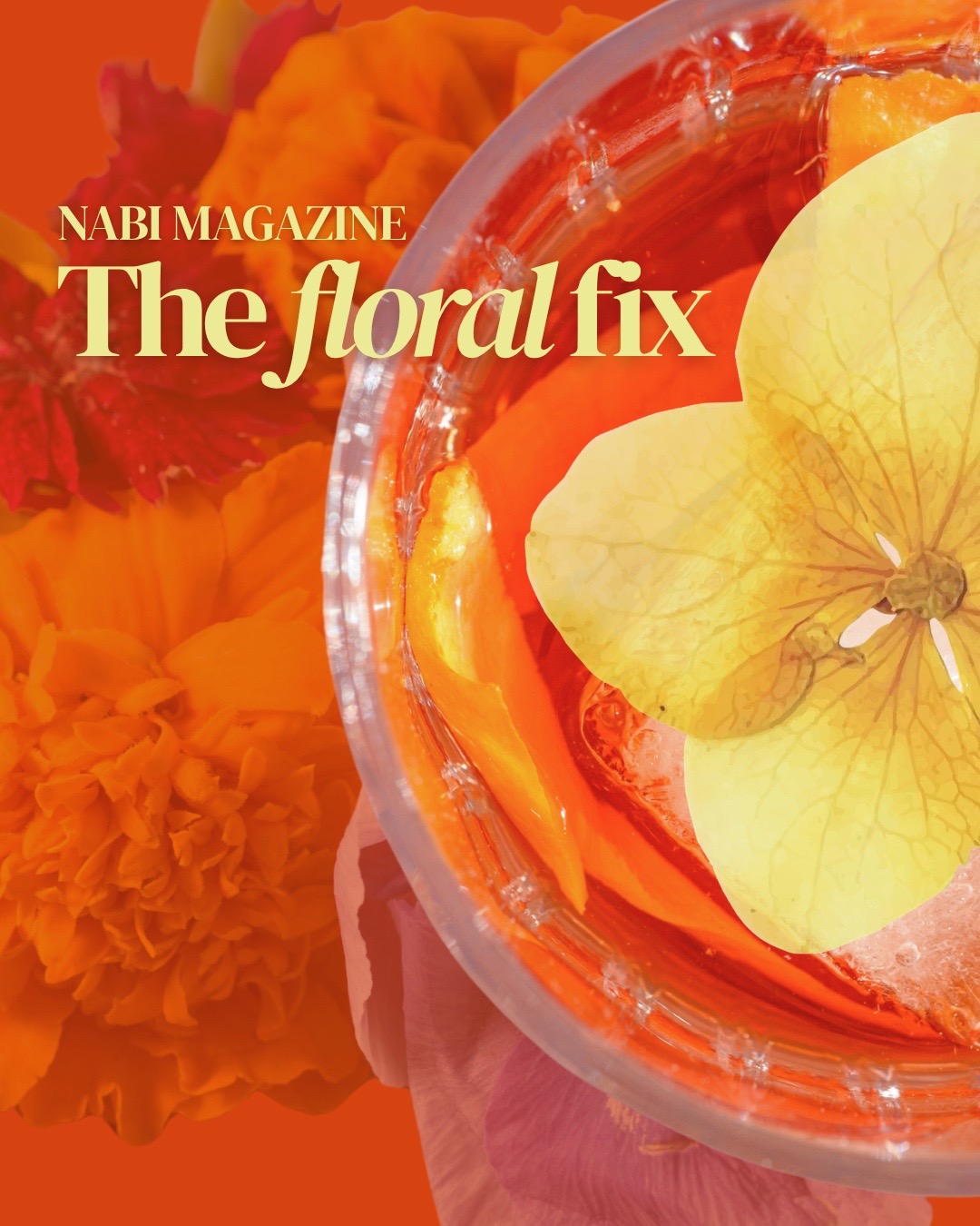 @NABI Magazine