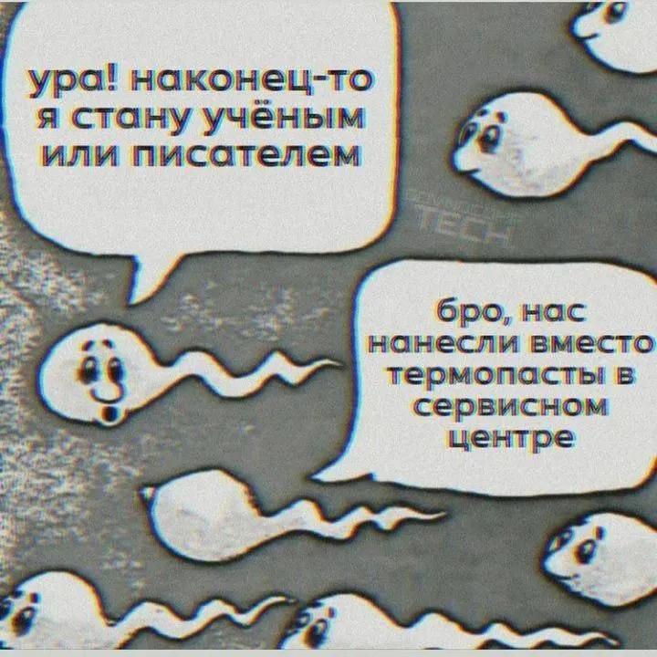 @Заходит Черепаха в Бар