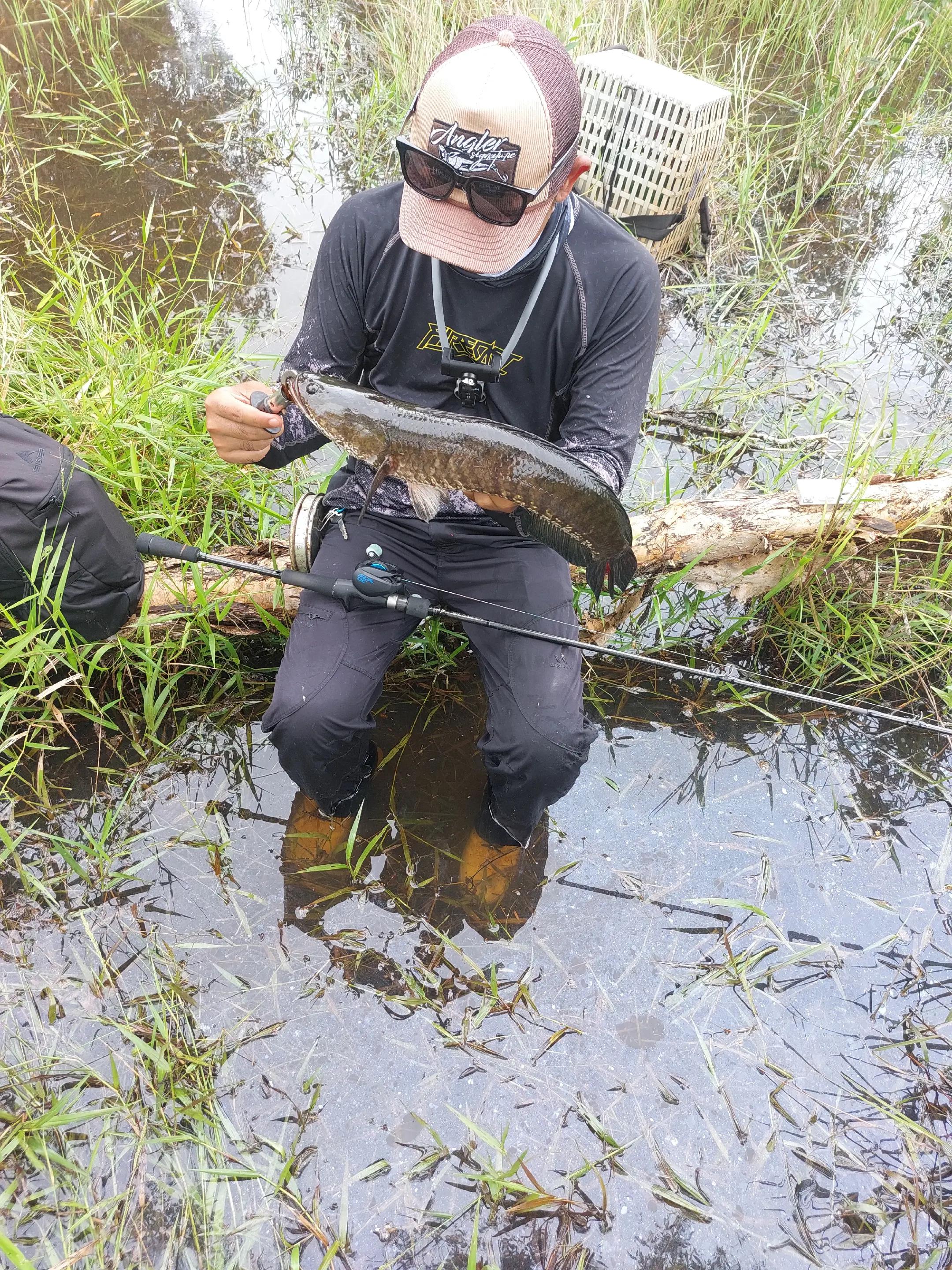 @TungFishing