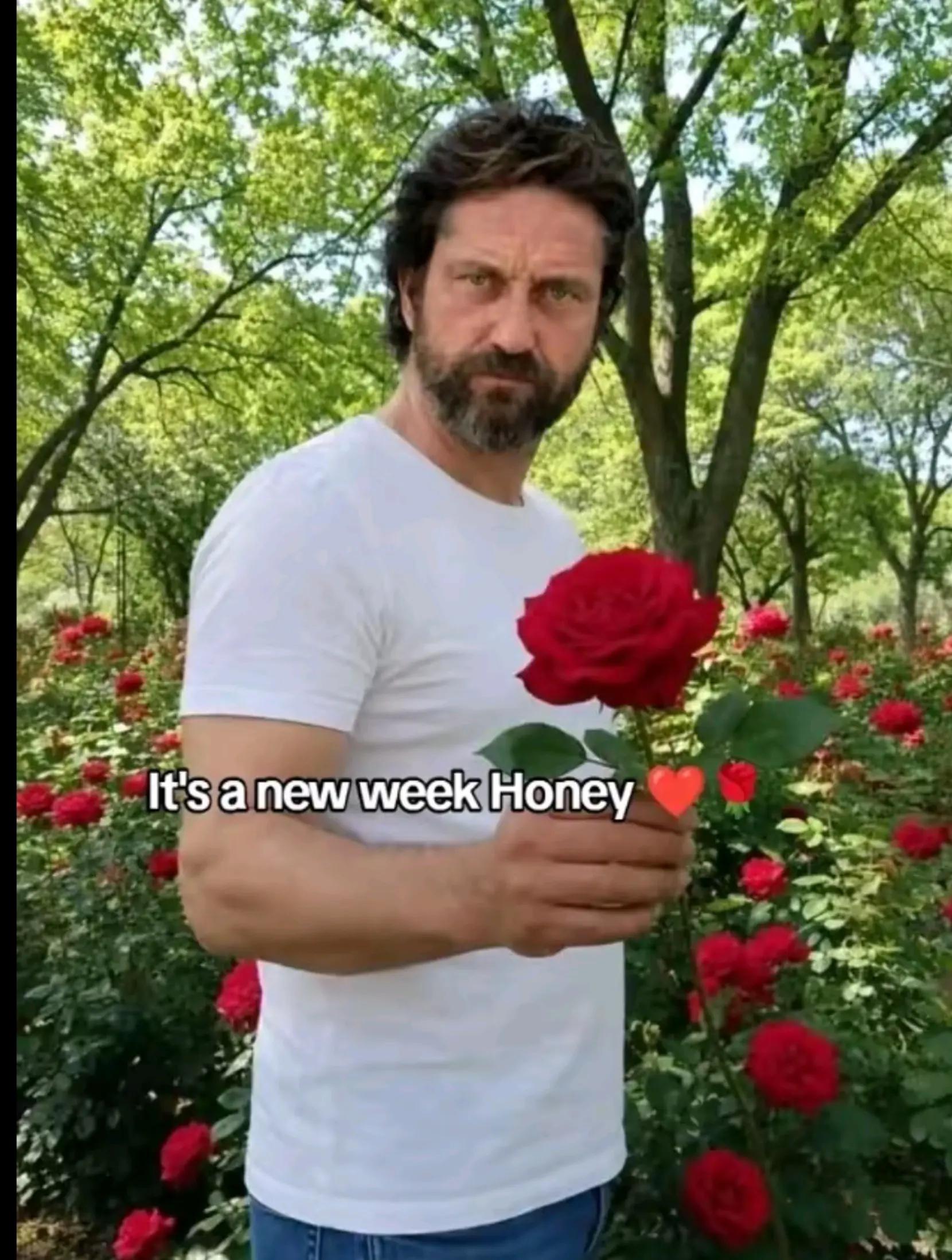 @gerard butler