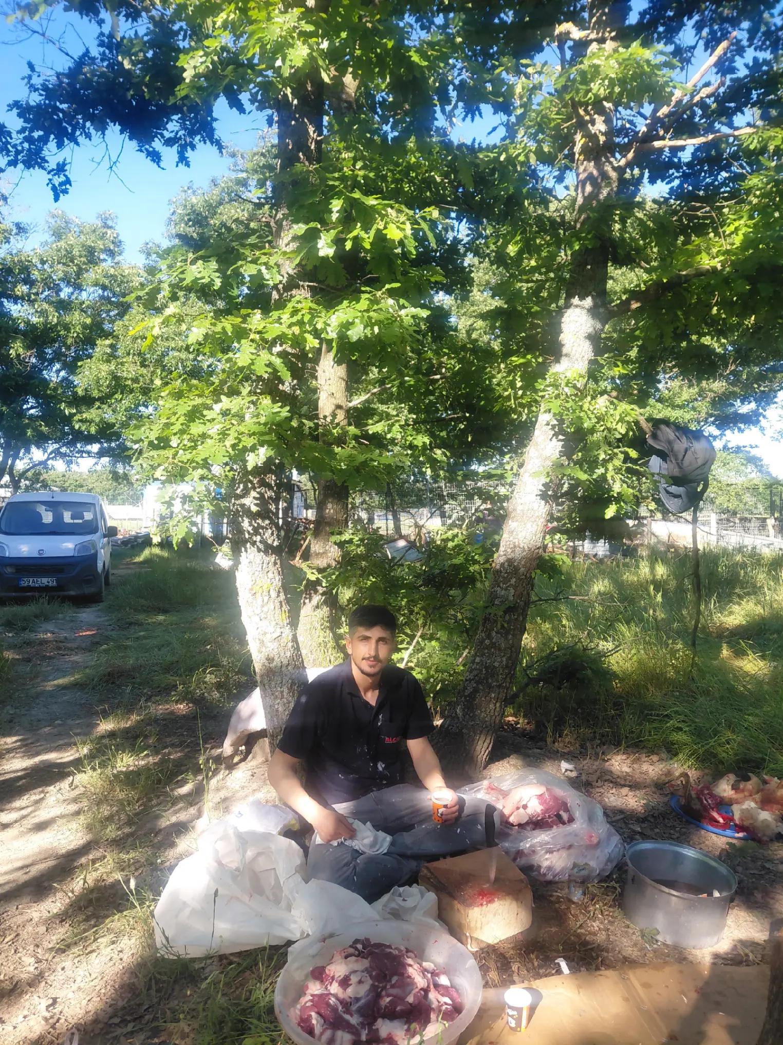 @Ercan6559