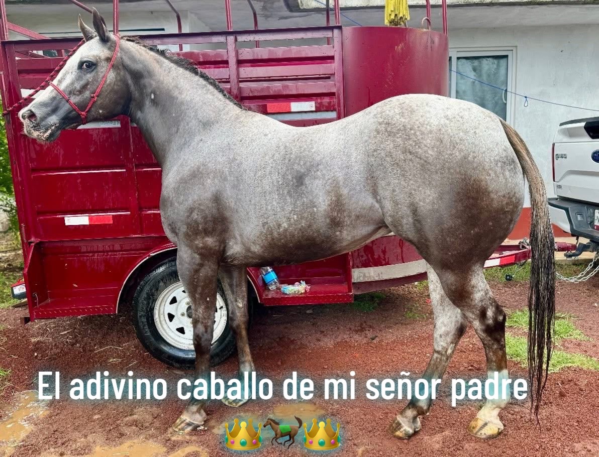 @Iván rivera ๐
๐ฆ๐ฅ