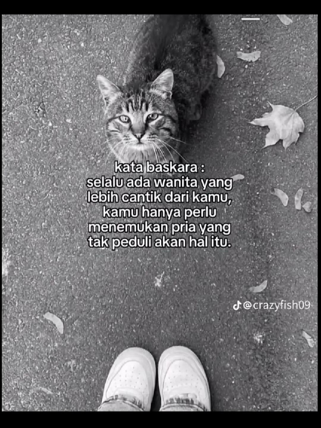 @dilaaa
