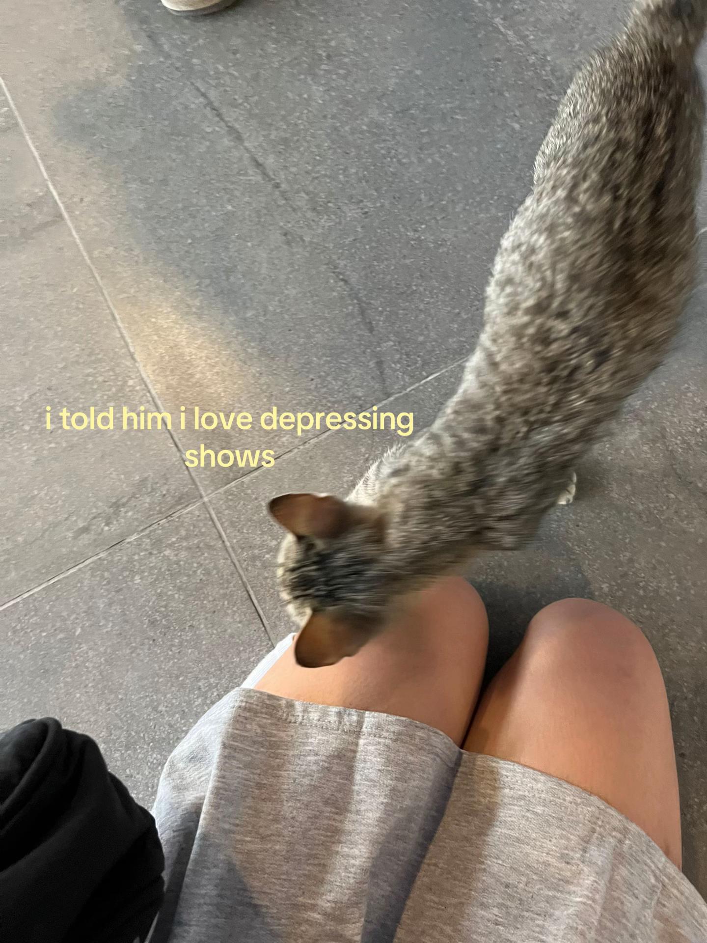 @tohru 🧸ྀི
