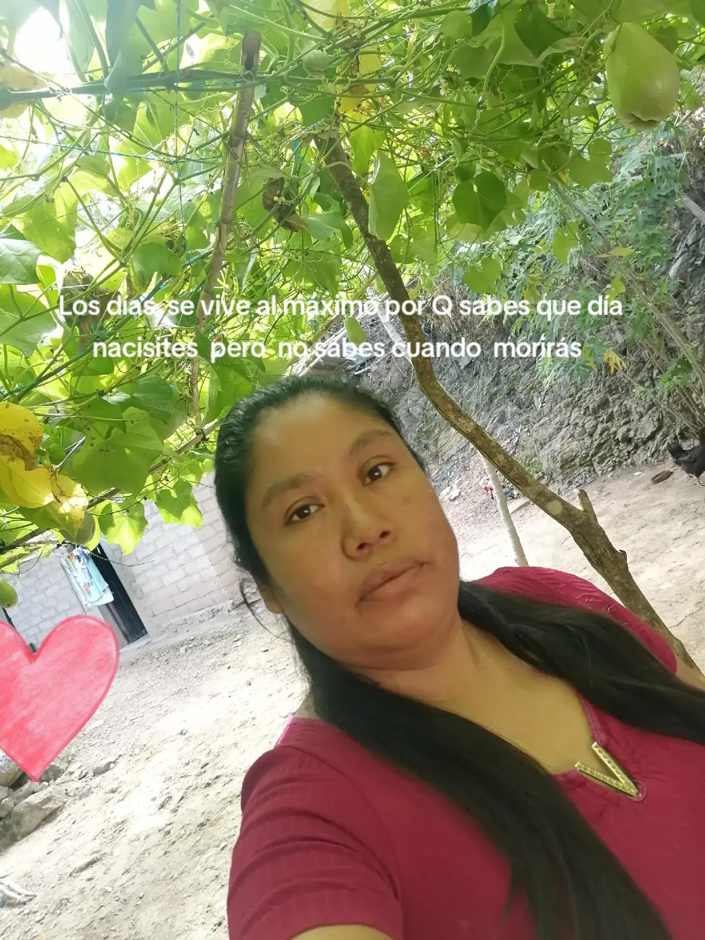 @eliza LM