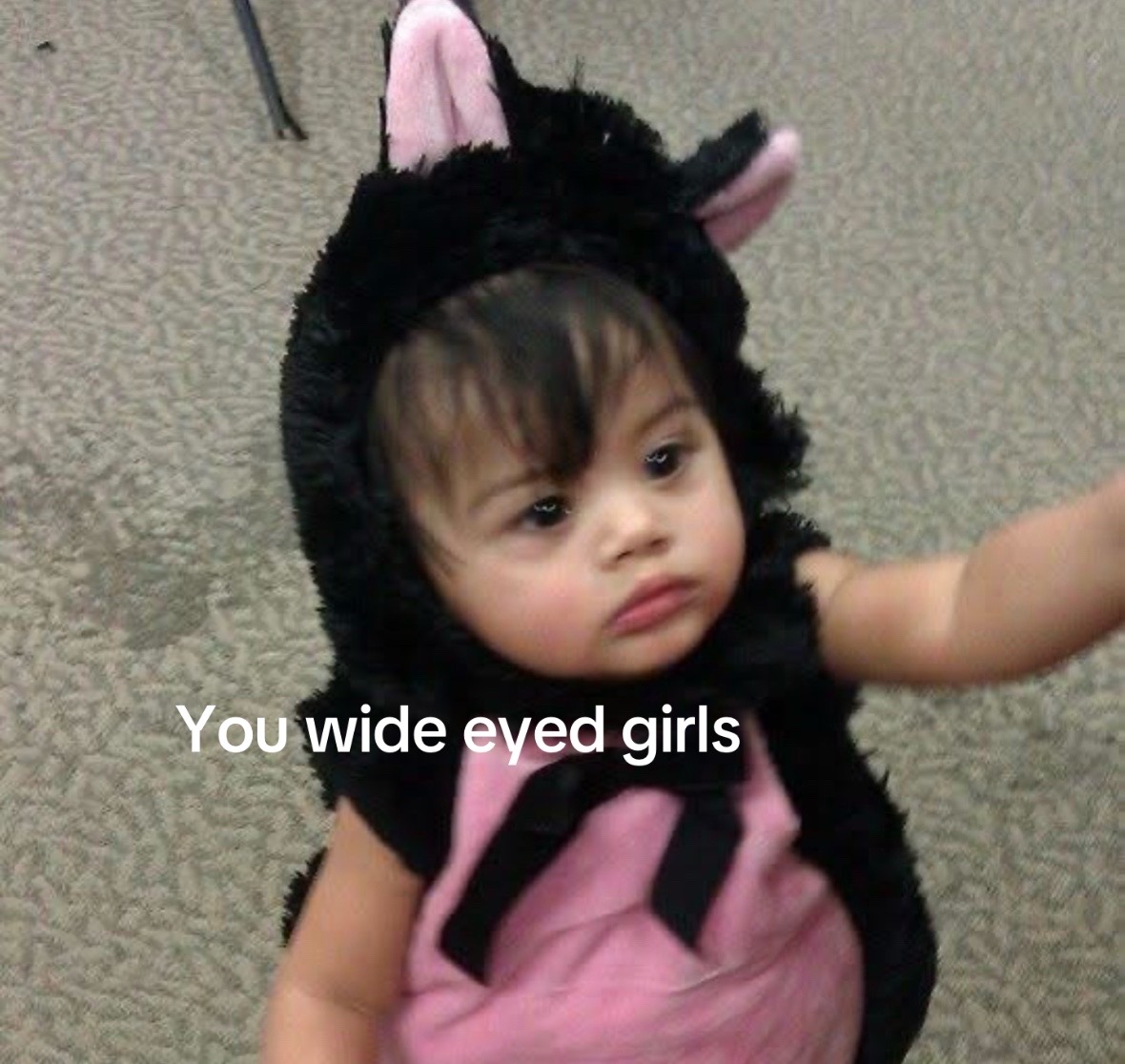 @kitty