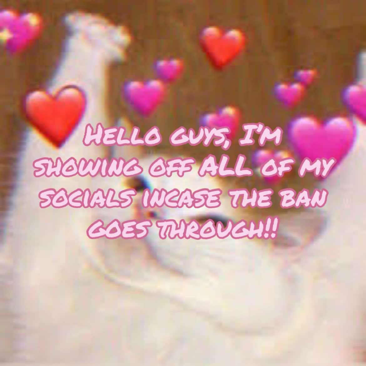 @🥭Mango🎭👻(Dewdrop’s version)