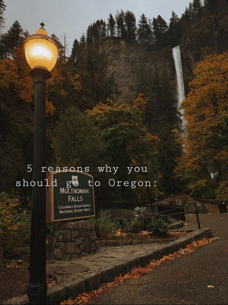 @𝒦𝒶𝓂𝒾𝓁𝒶