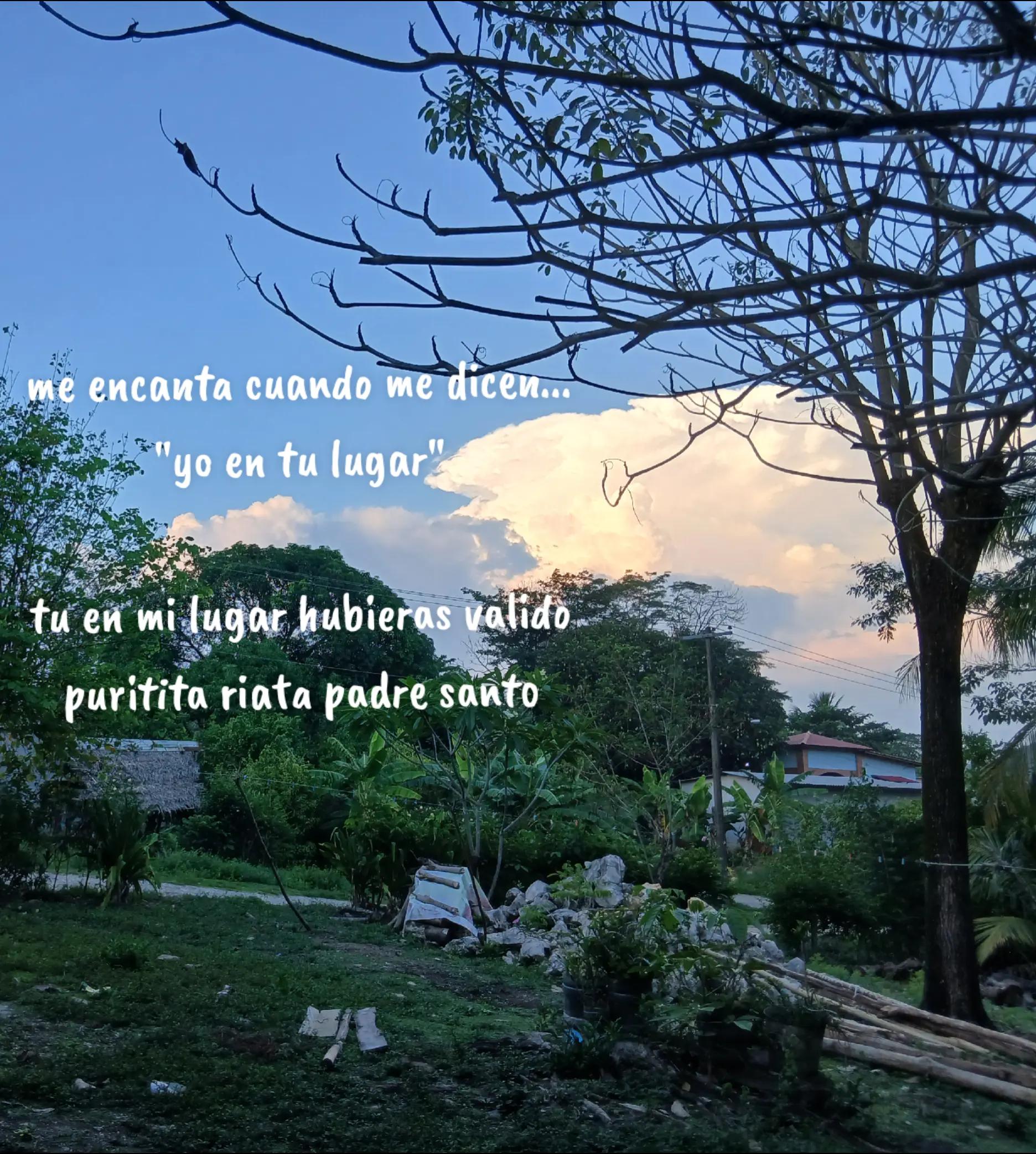 @🦋Karla A Cansino R🍓