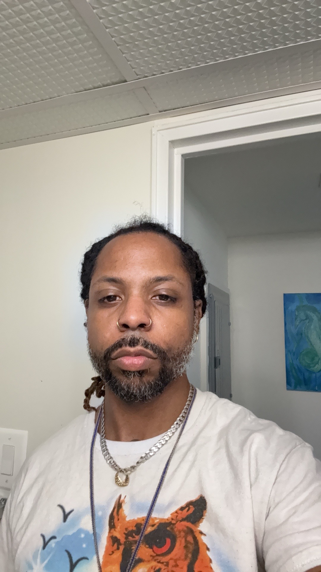 @knobullintentions