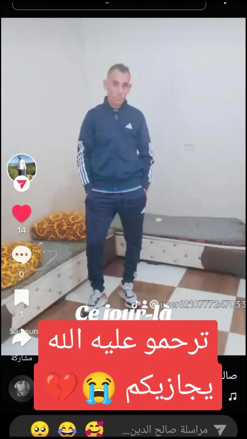 @عاشق لقطط😹
