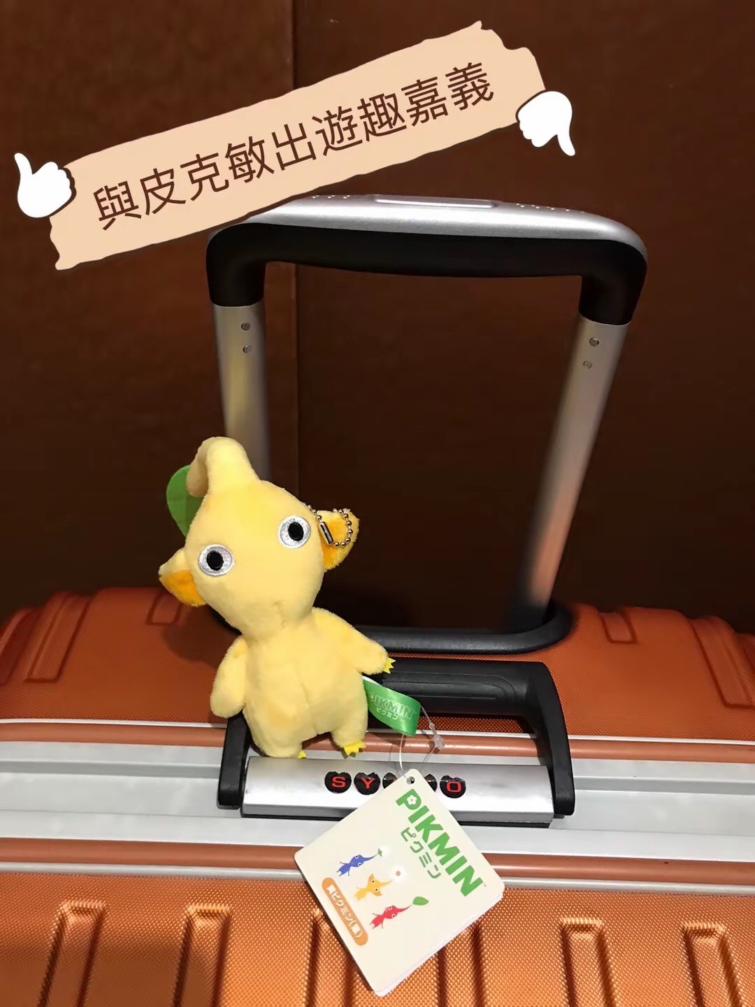 @頭像就是本人