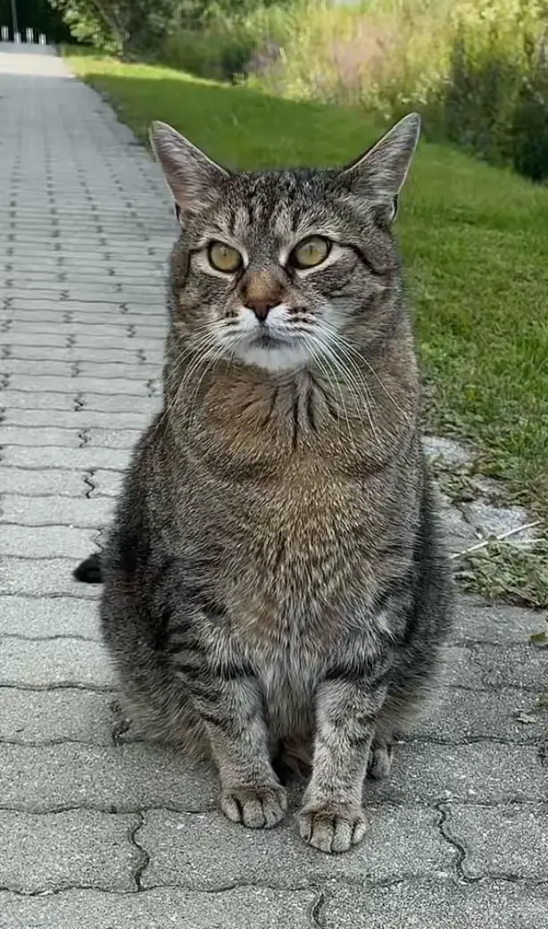 @Birgit Berger ( Biggi )