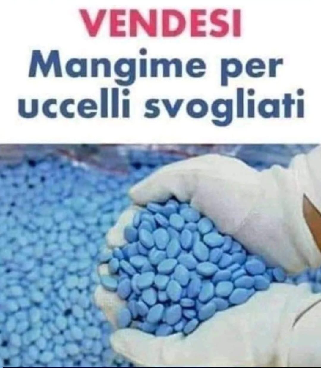 @Luigi Castaldo