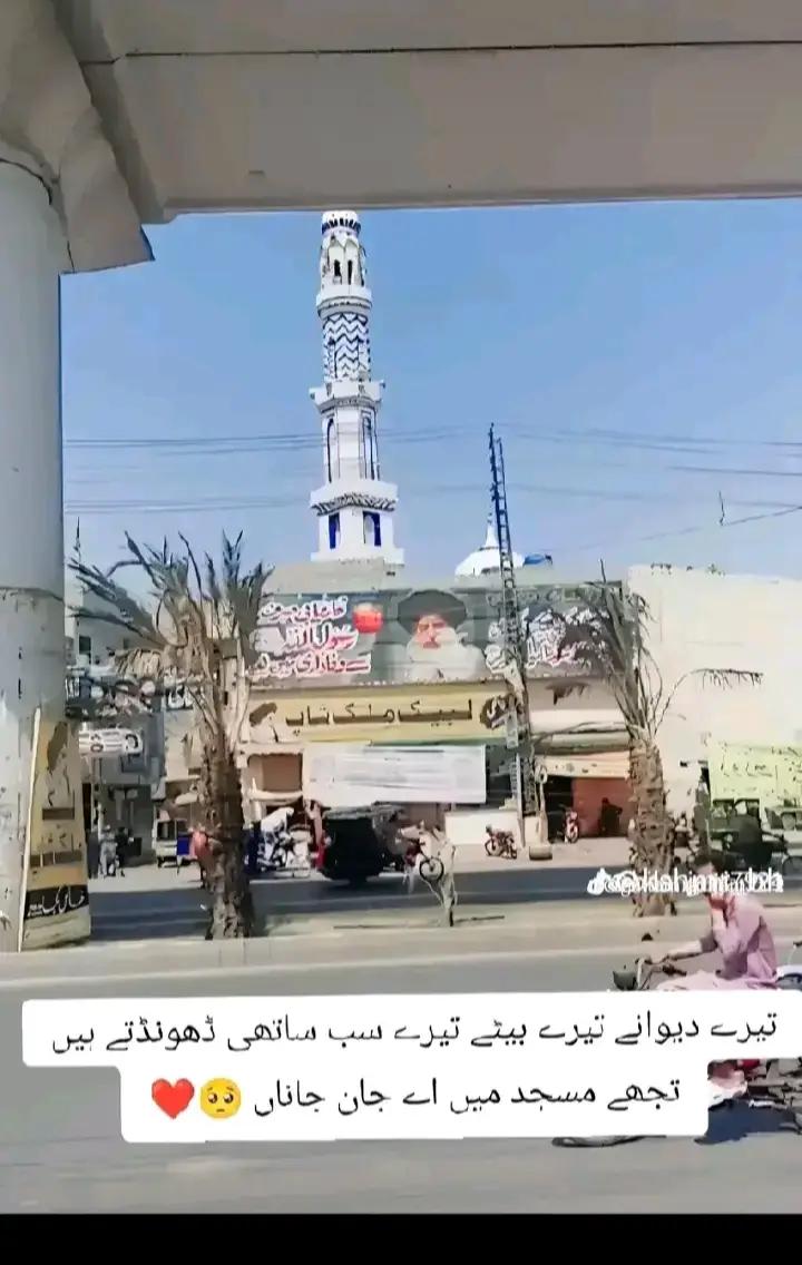 @رضوی کہتے ہیں جناب🇵🇰🇸🇦
