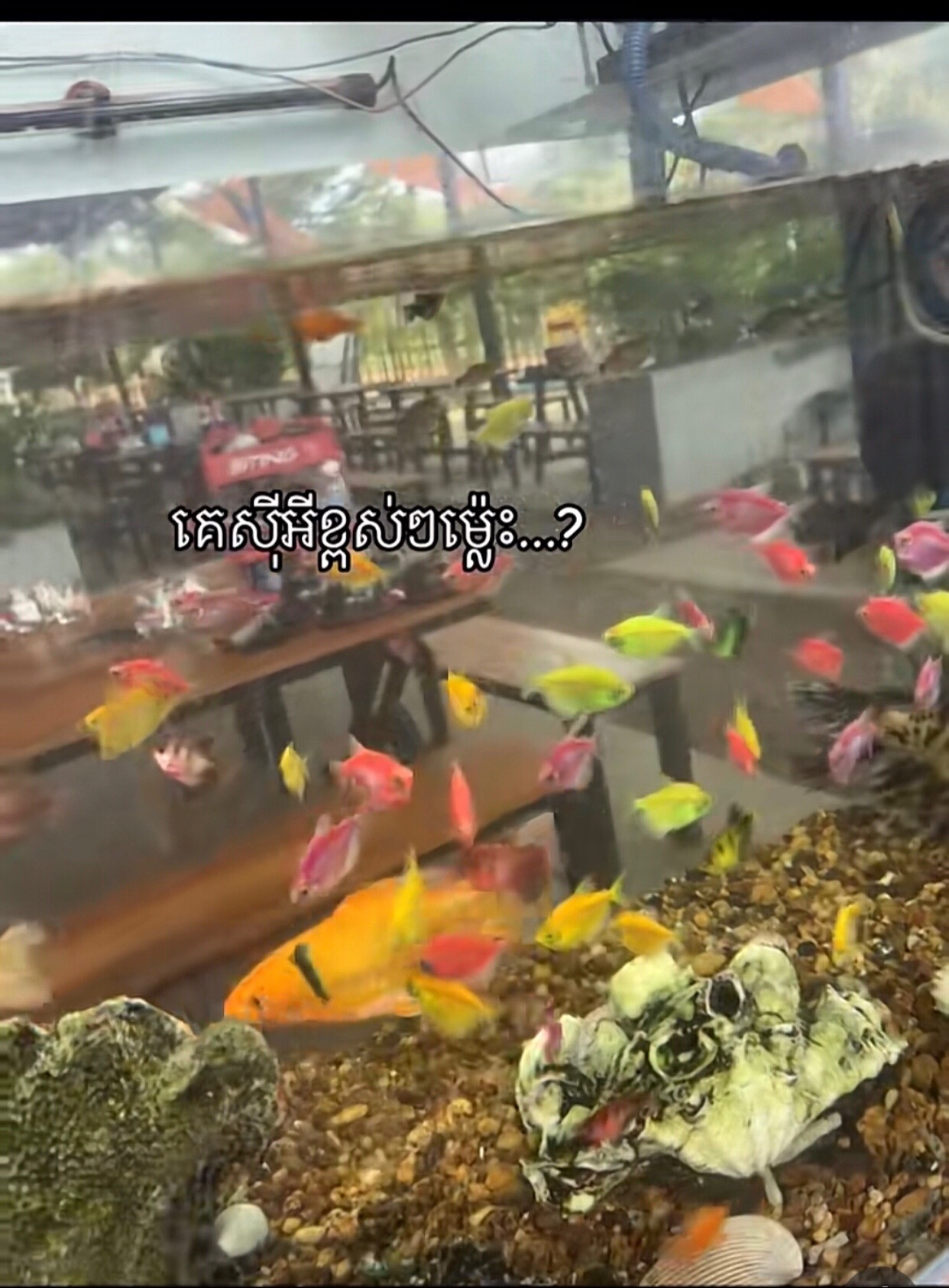 @Bbe๐ฃ