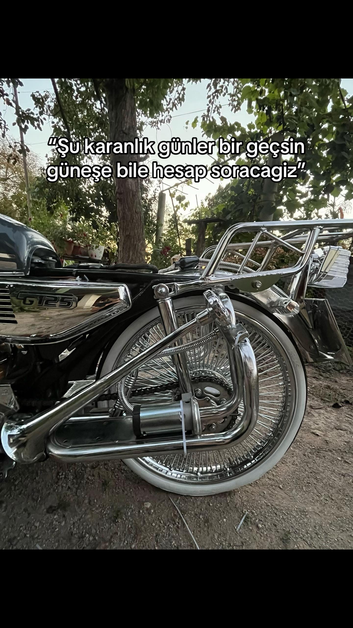 @50rgold_54