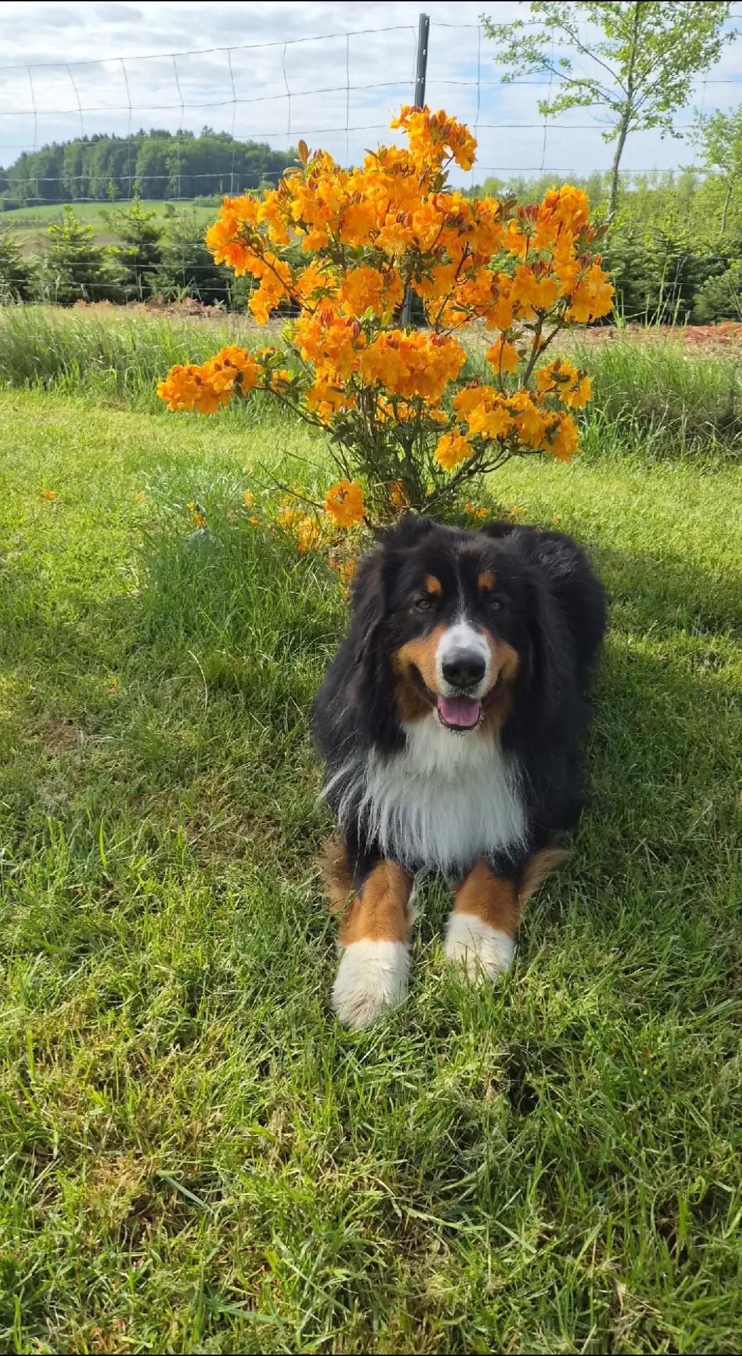 @berner.bruno