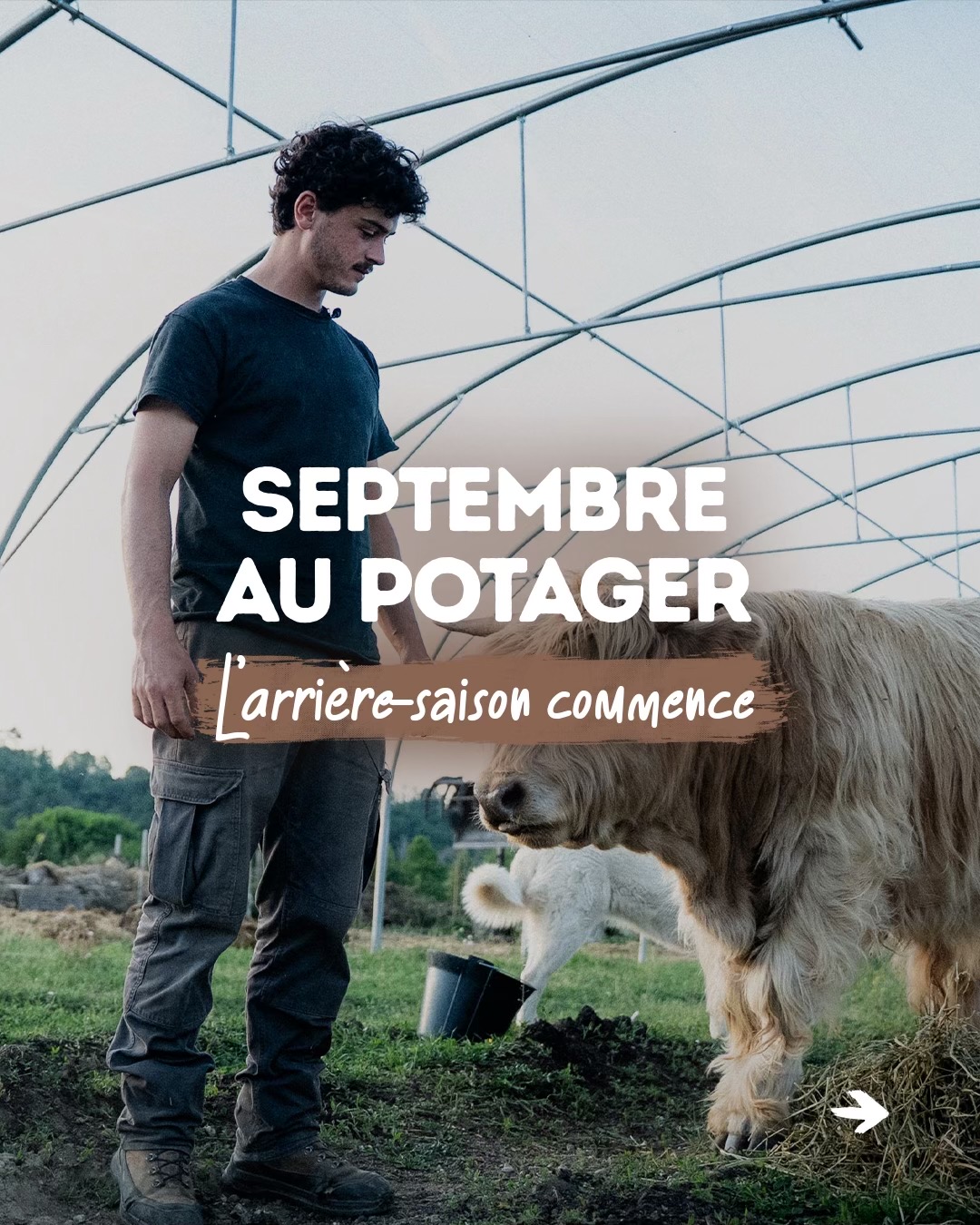 @Goran Le Permaculteur