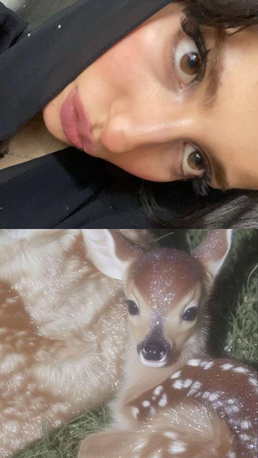 @halaaa.kitty