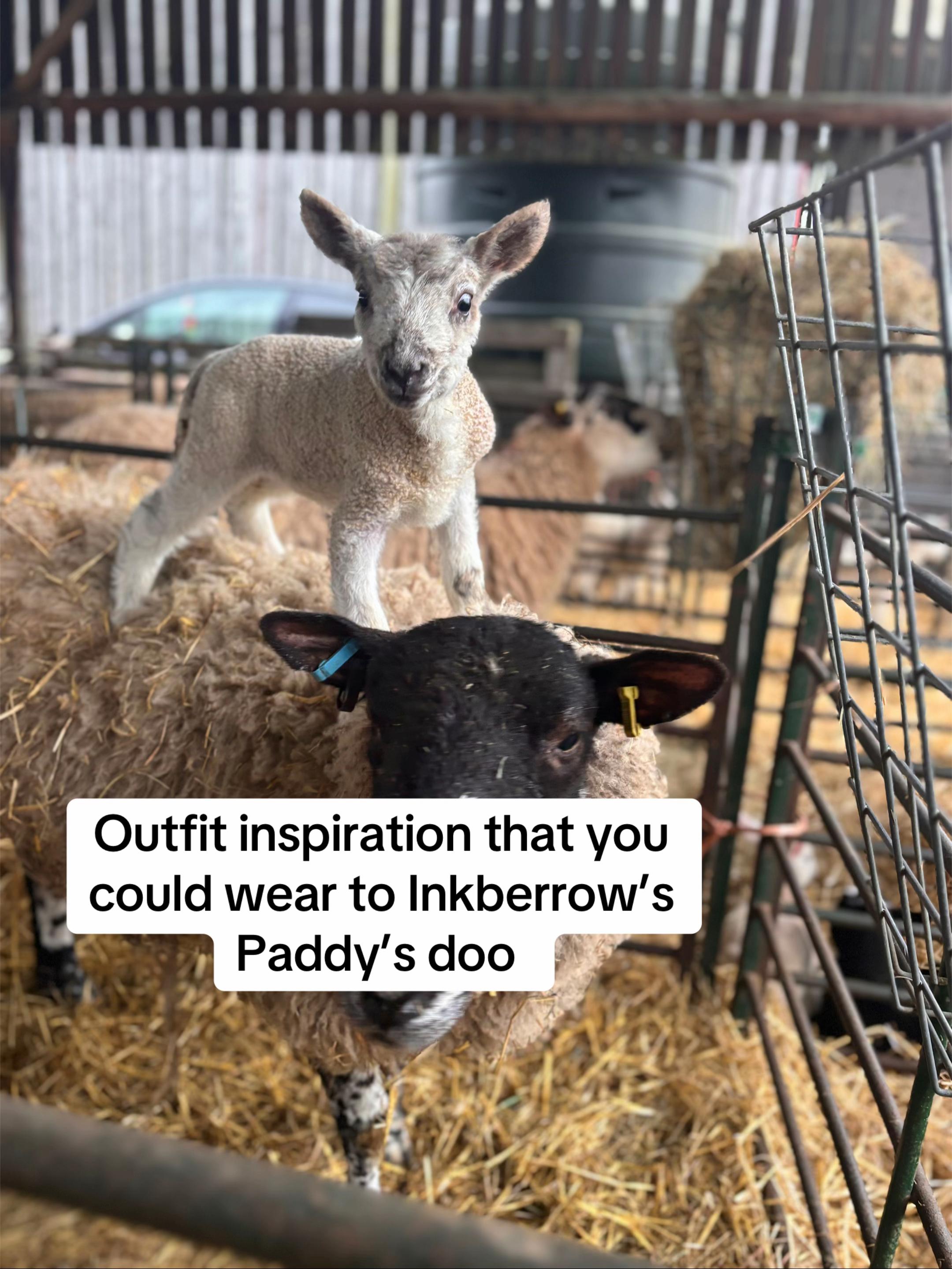 @Inkberrow YFC