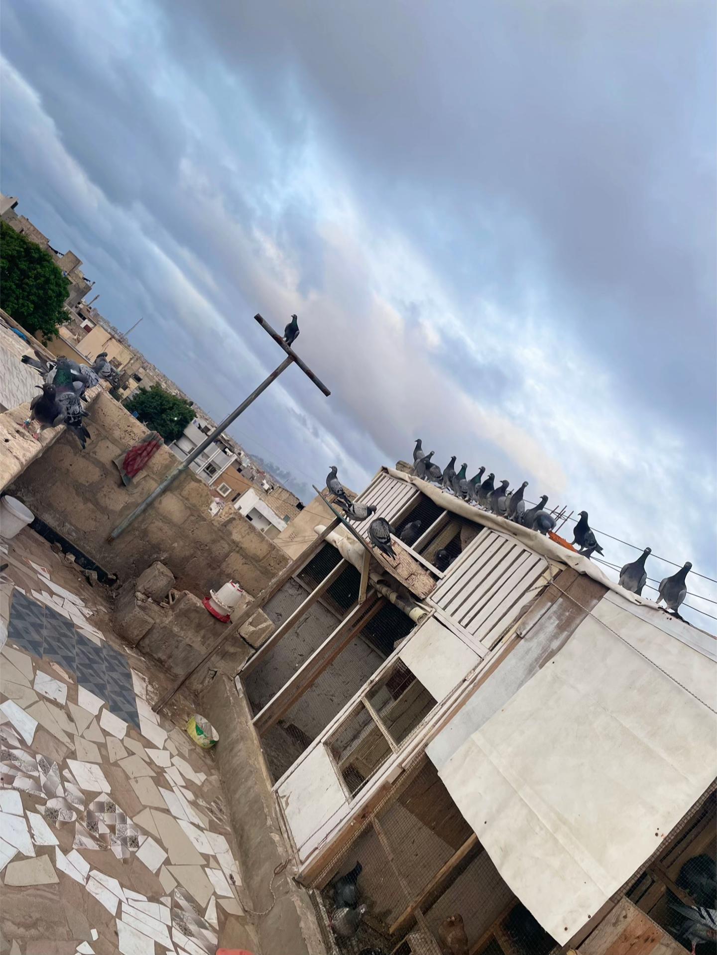 @OMZOLOFT🕊🦜🇸🇳