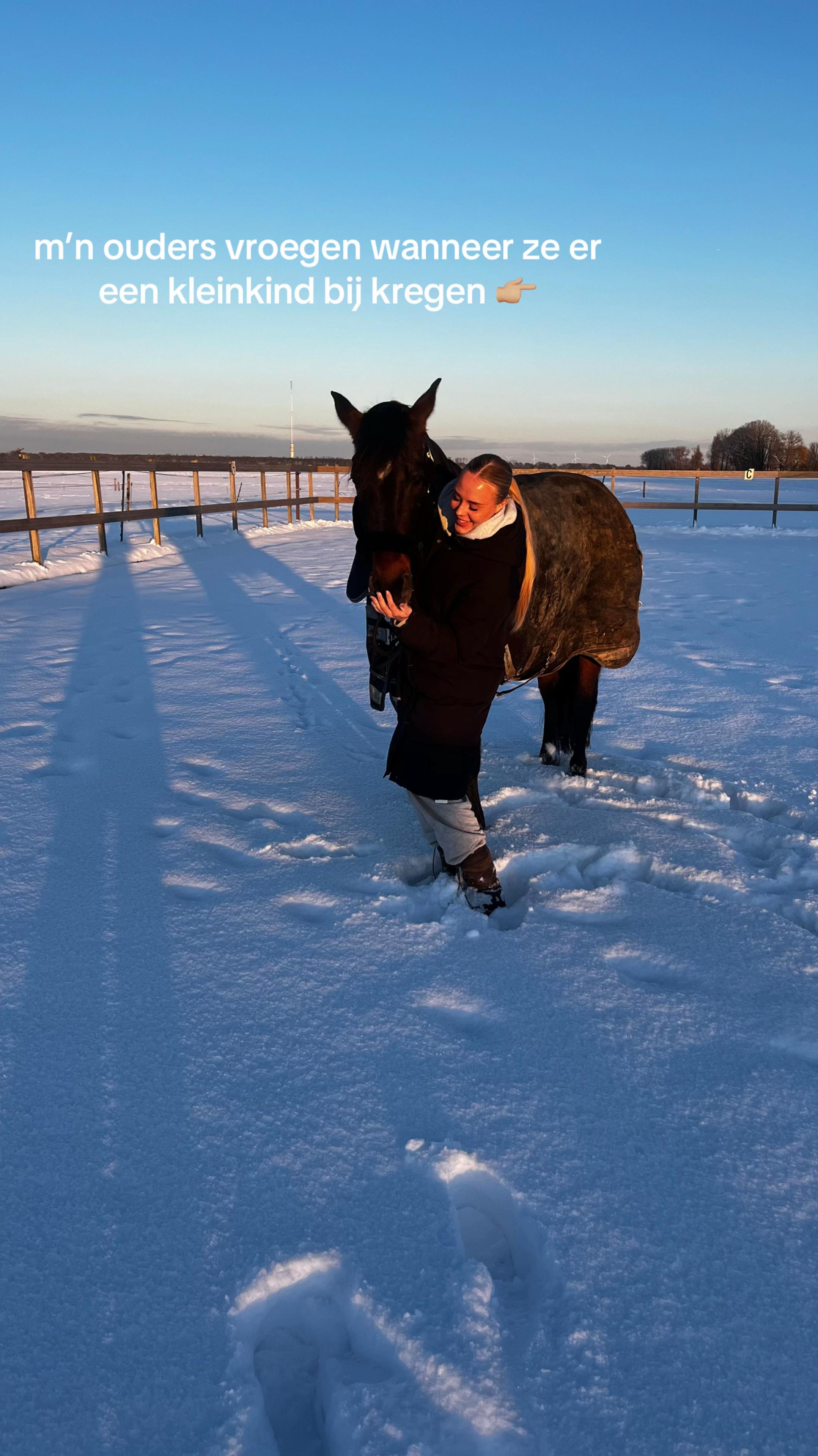 @dovda.horsemanship