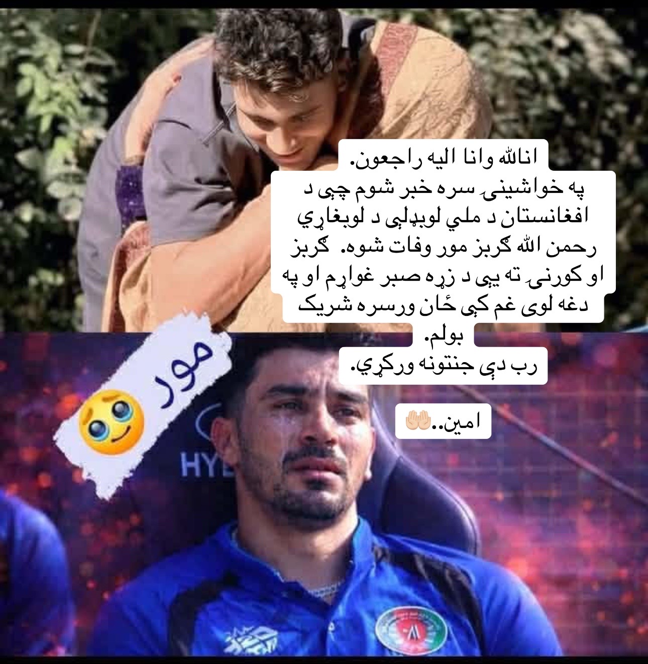 @wazhma Ayoubi