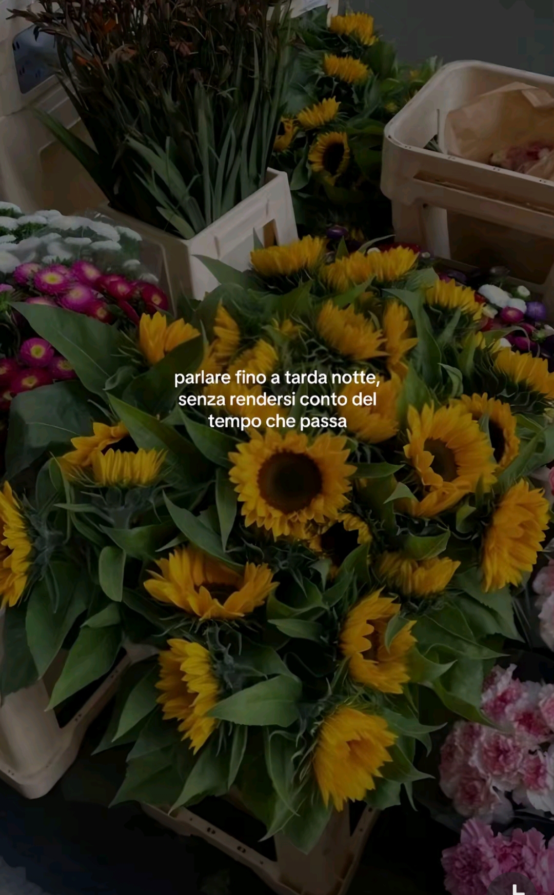 @Ammor & Verit&agrave;