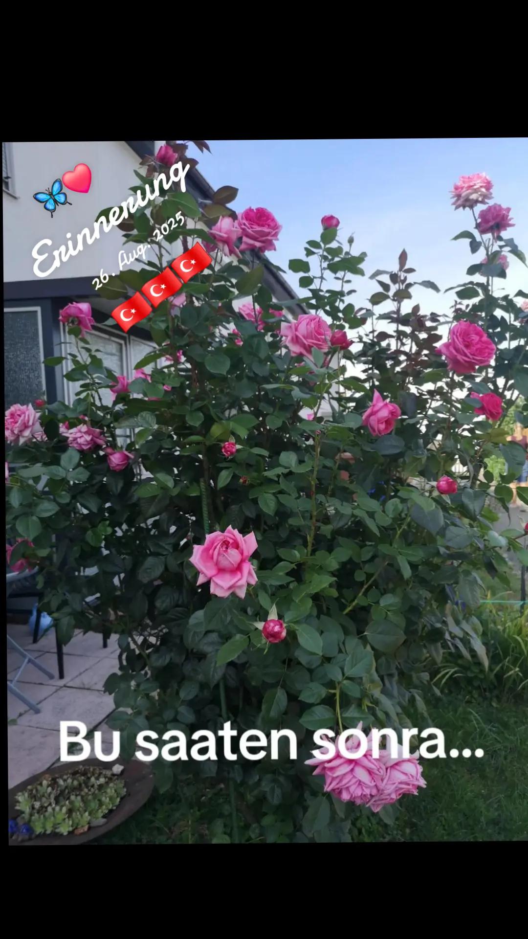 @Filiz Akın Kaderli 🦋&hearts;️
