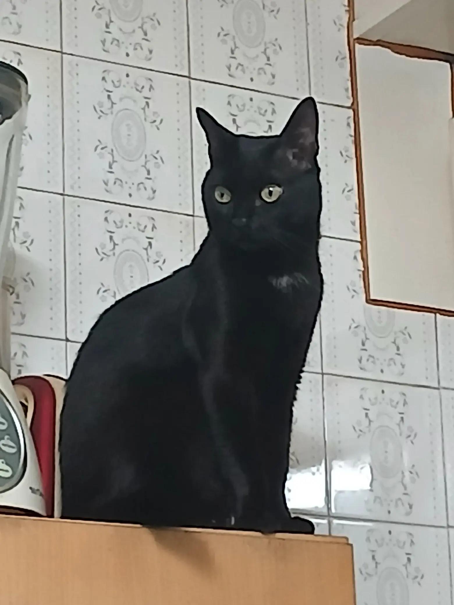 @🥰💚mi bebe💚🌹🫂💞dany💖