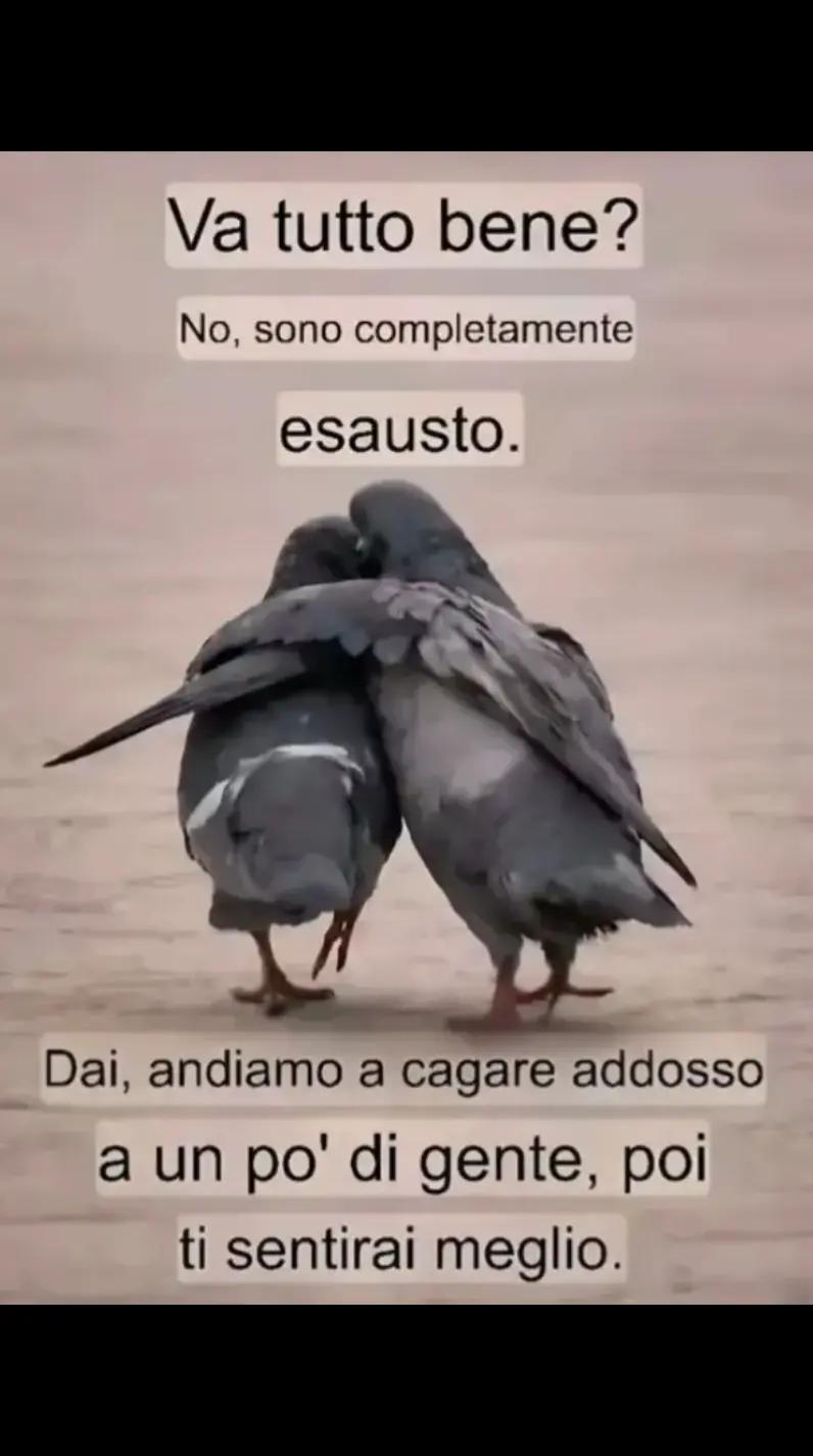 @Massimo Il Grande