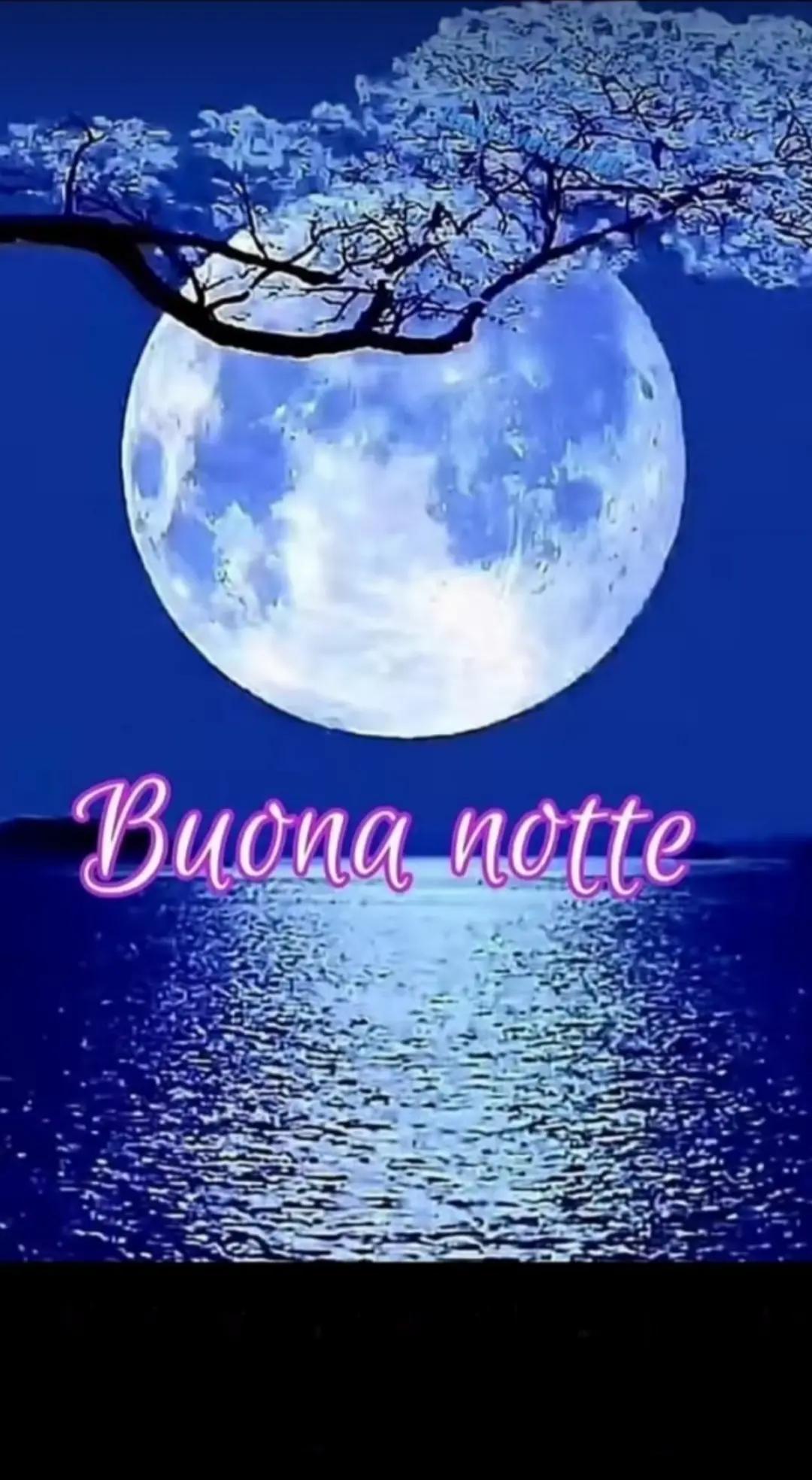 @🌌⚓Bruno BlueNight Shadow⚓🌌