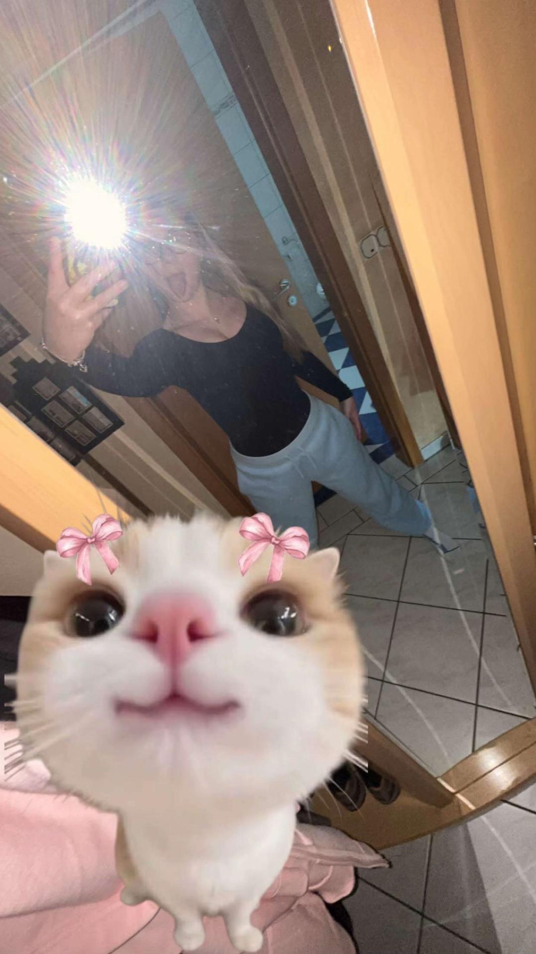 @celiine