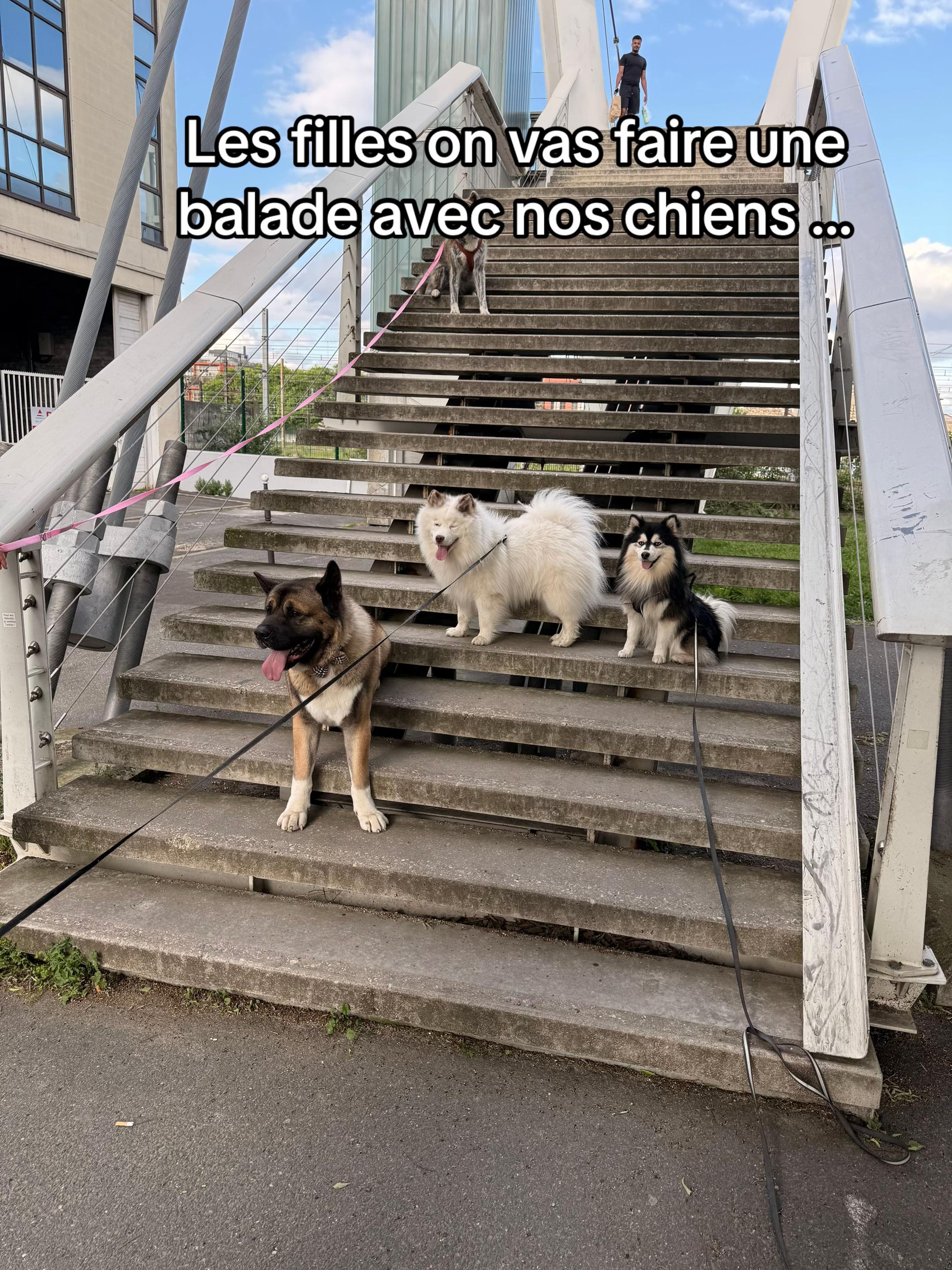 @Madesu et Jessy🐻