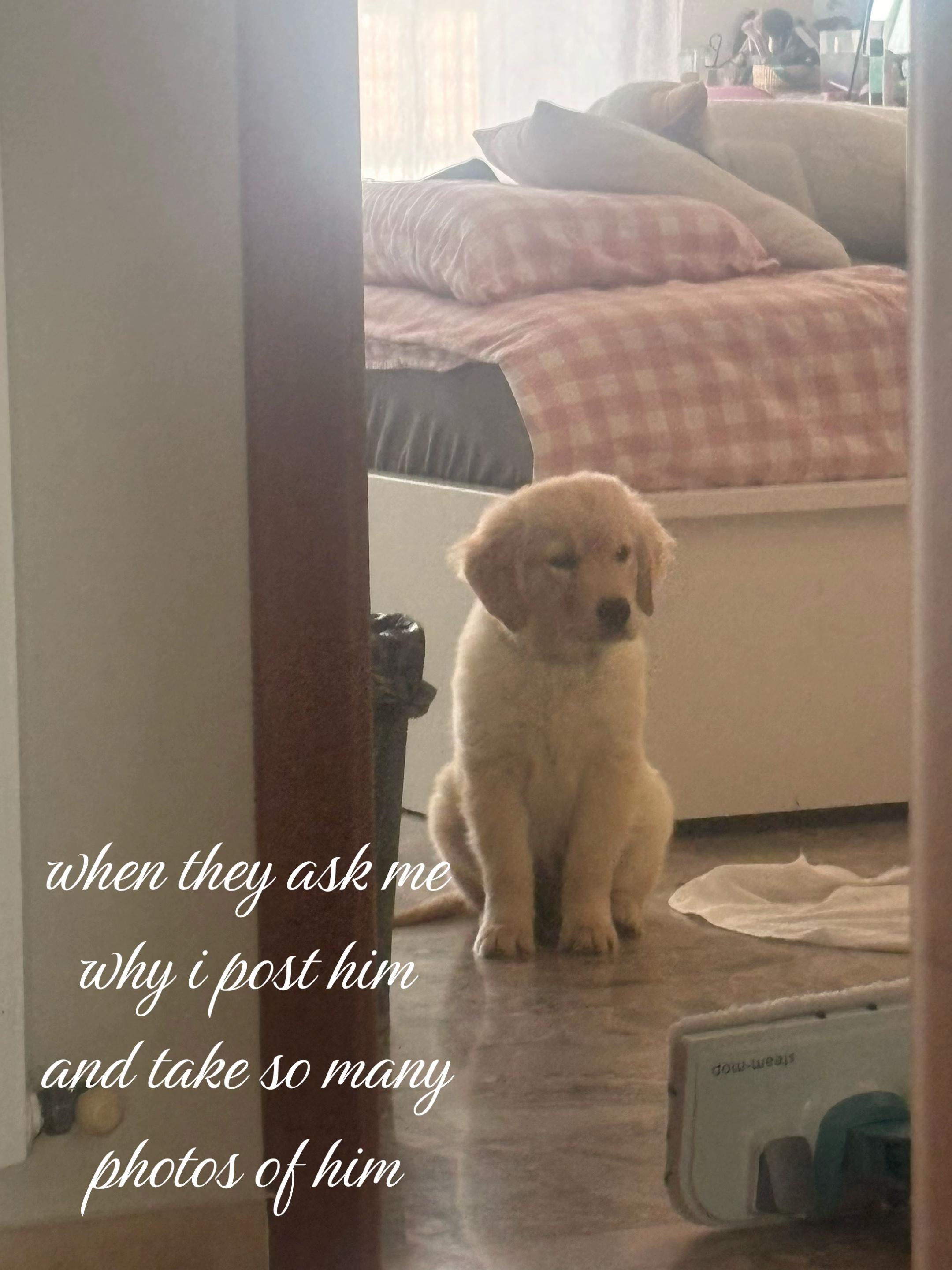 @𝓐𝓽𝓱𝓮𝓷𝓪