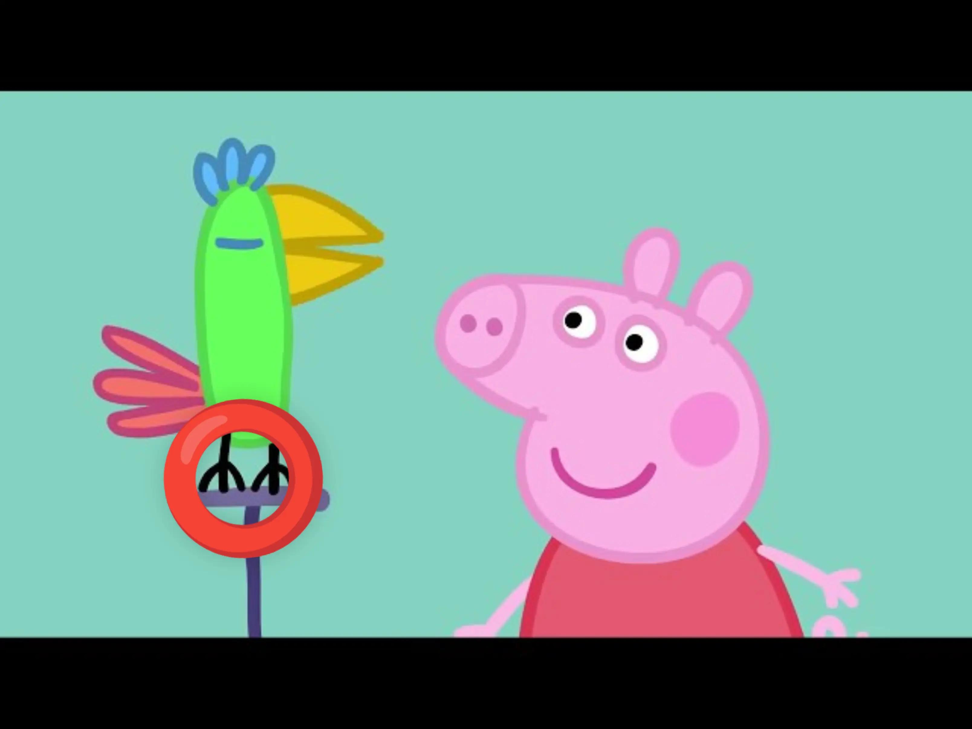 @𝙍𝙖𝙙𝙞𝙭