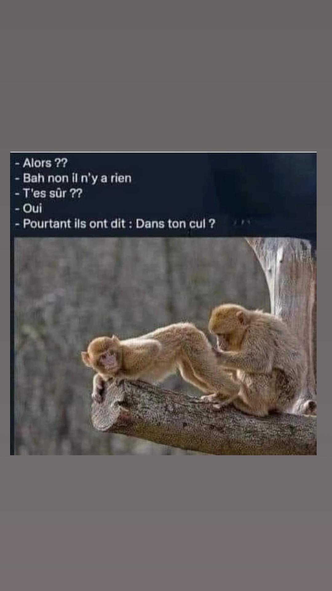@Tom10j