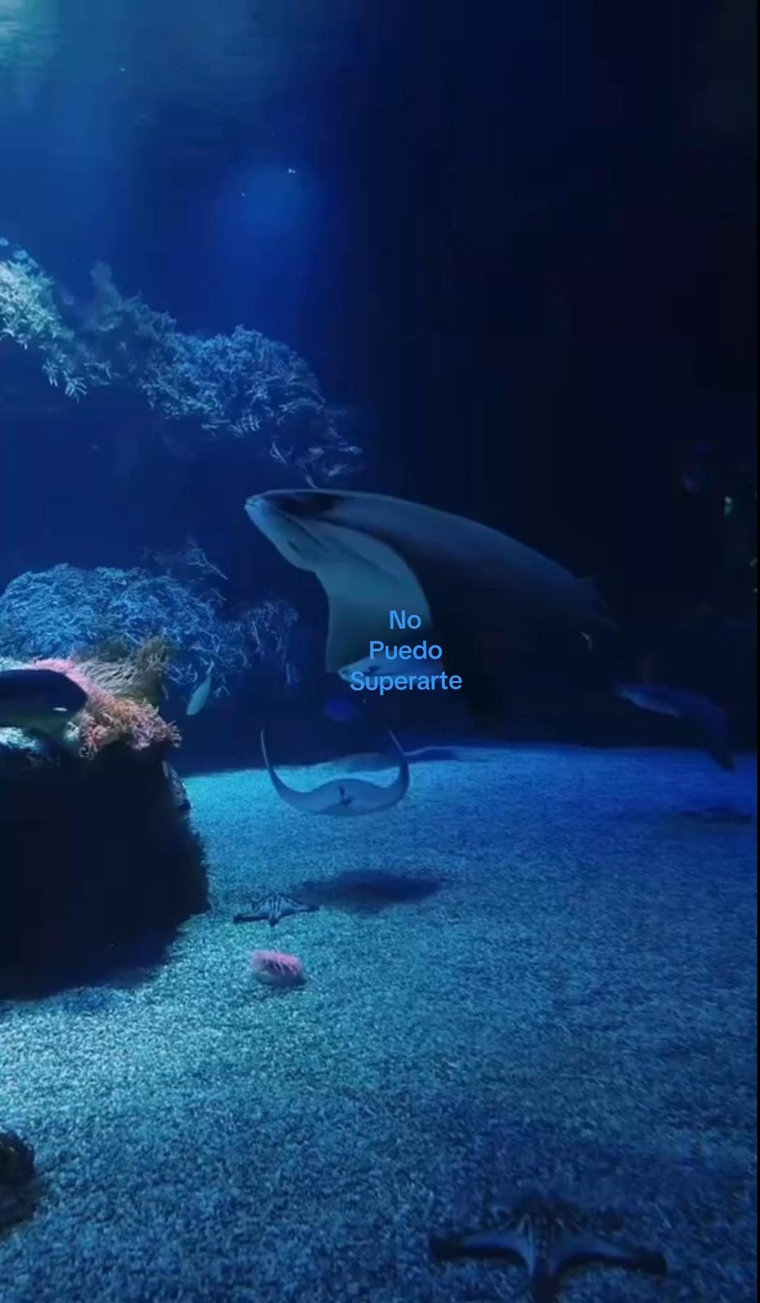@😕