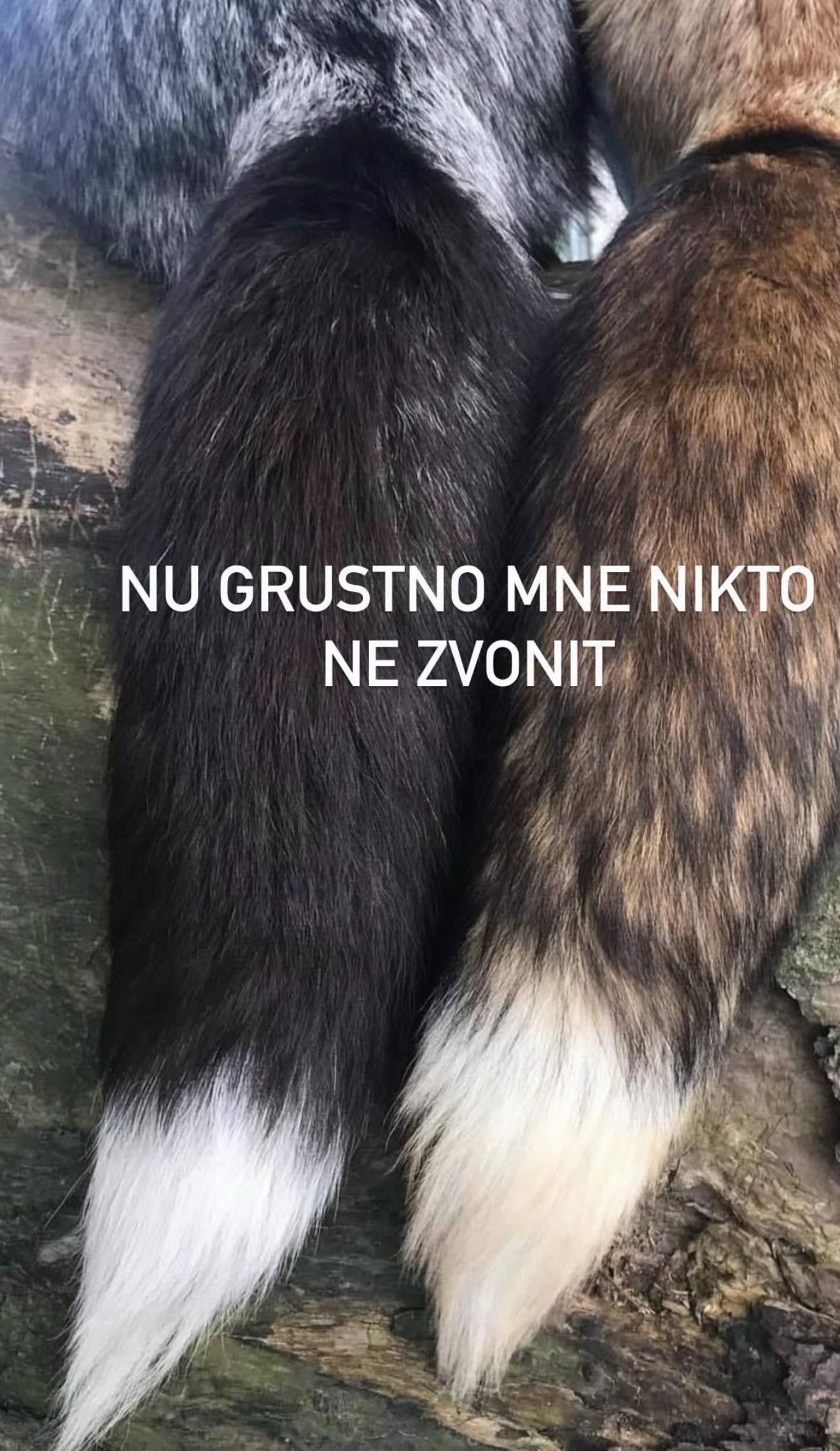 @misa