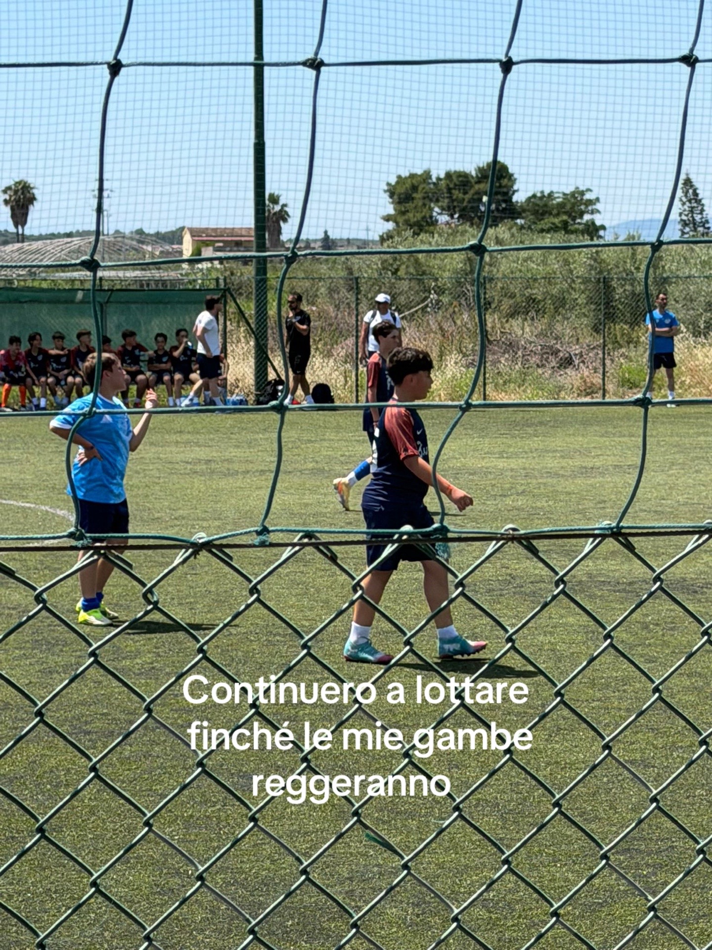 @Rosario turco