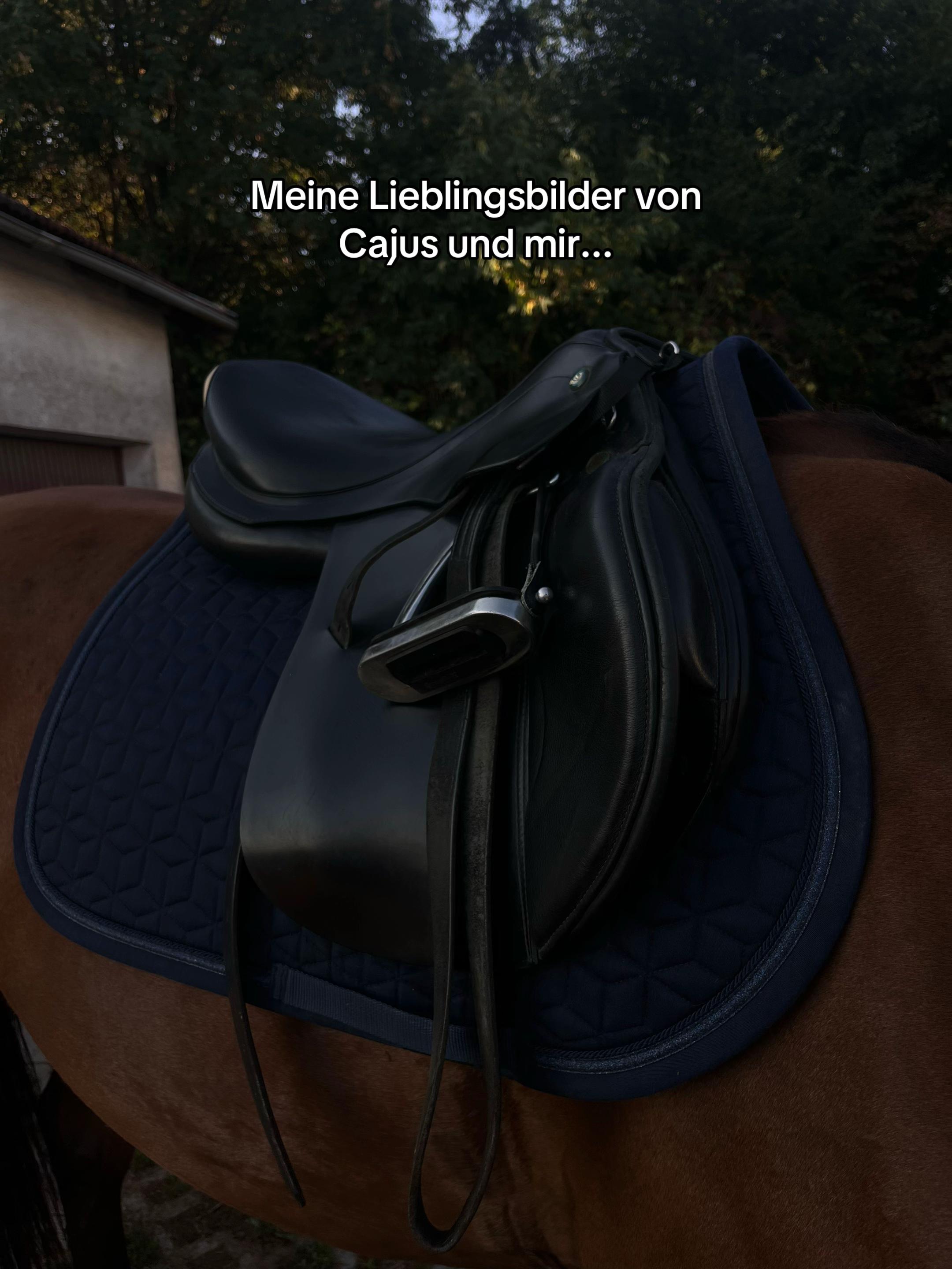 @herzenspferd_pearly