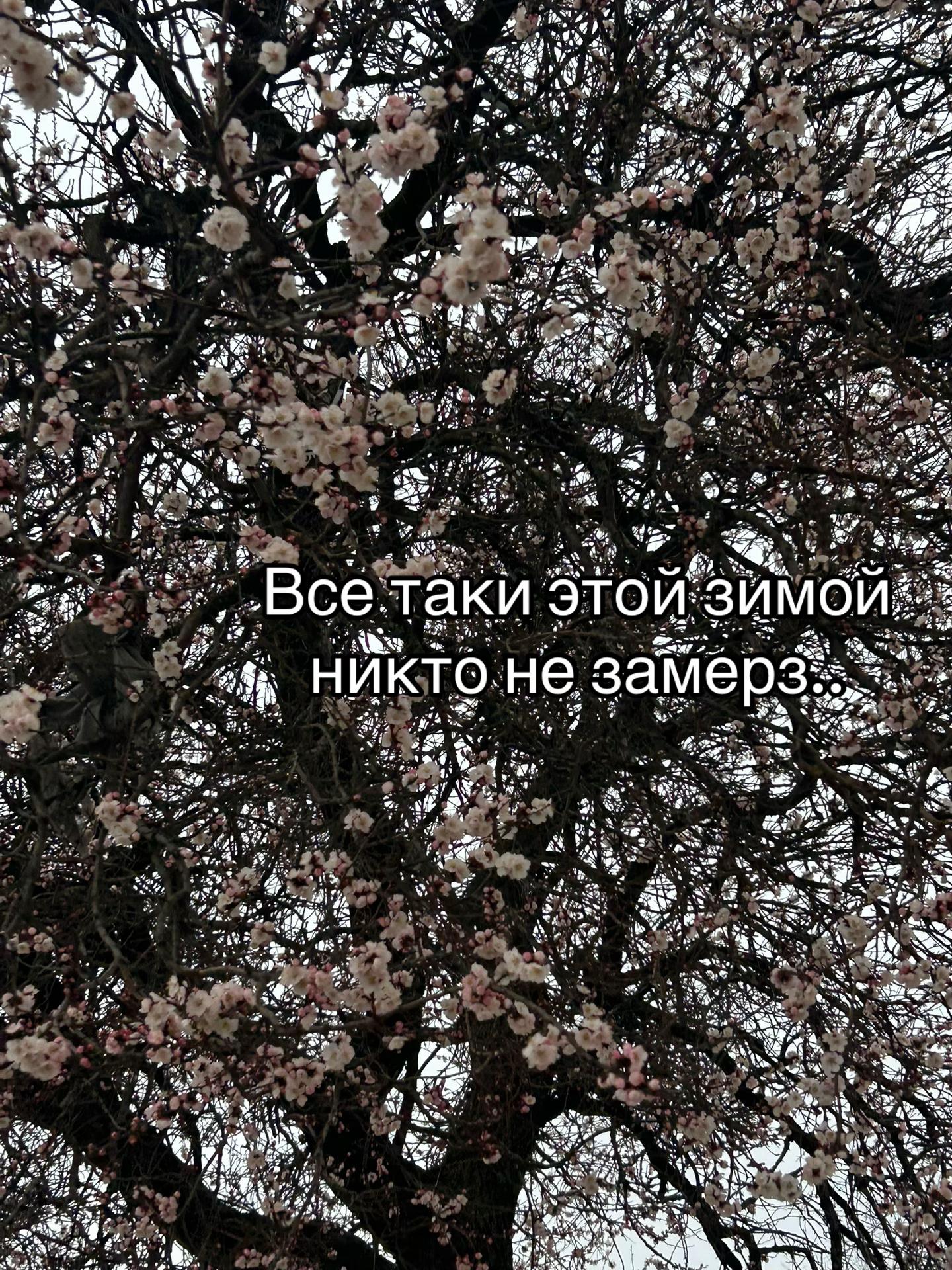 @элюся⚜️⚜️