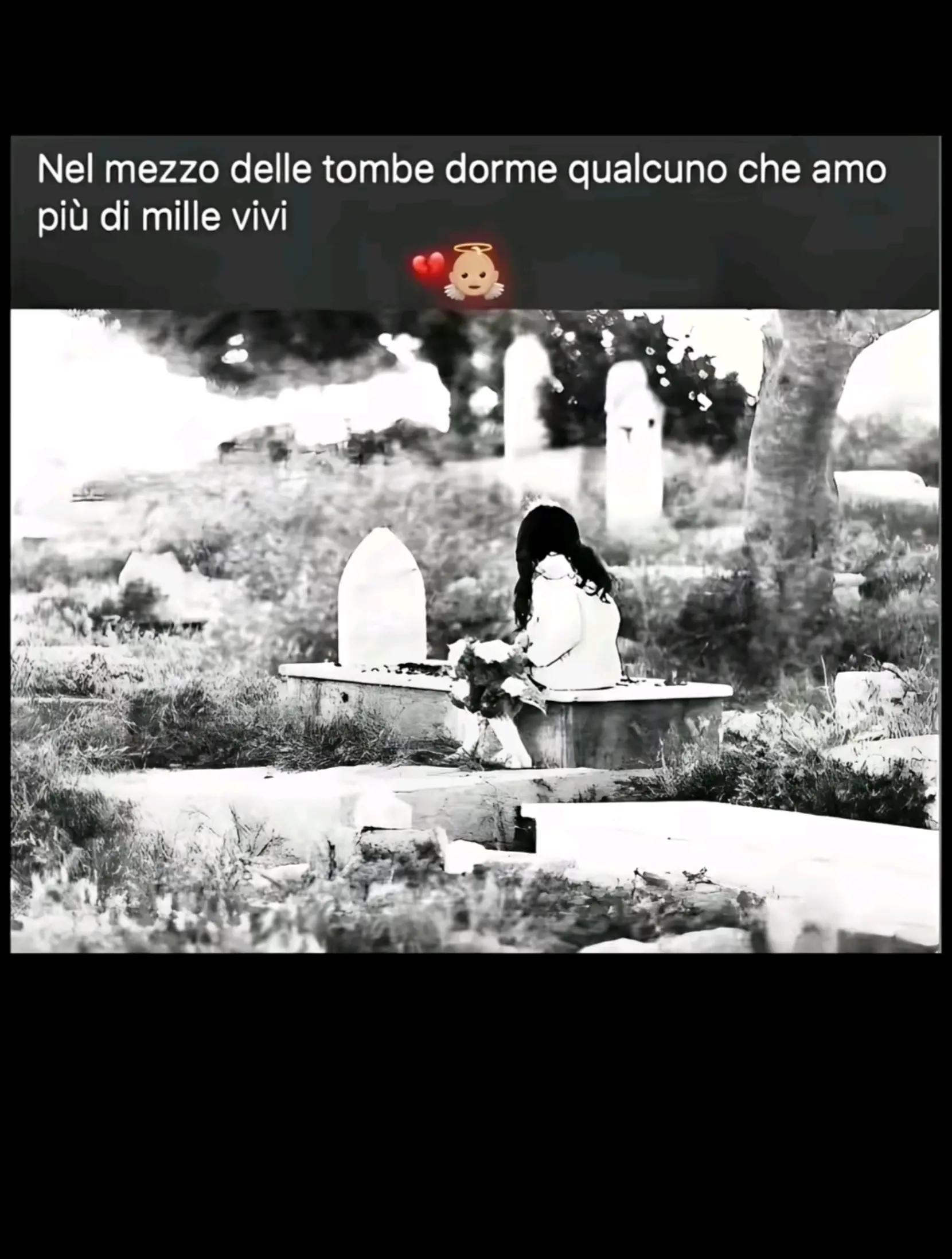 @gioo