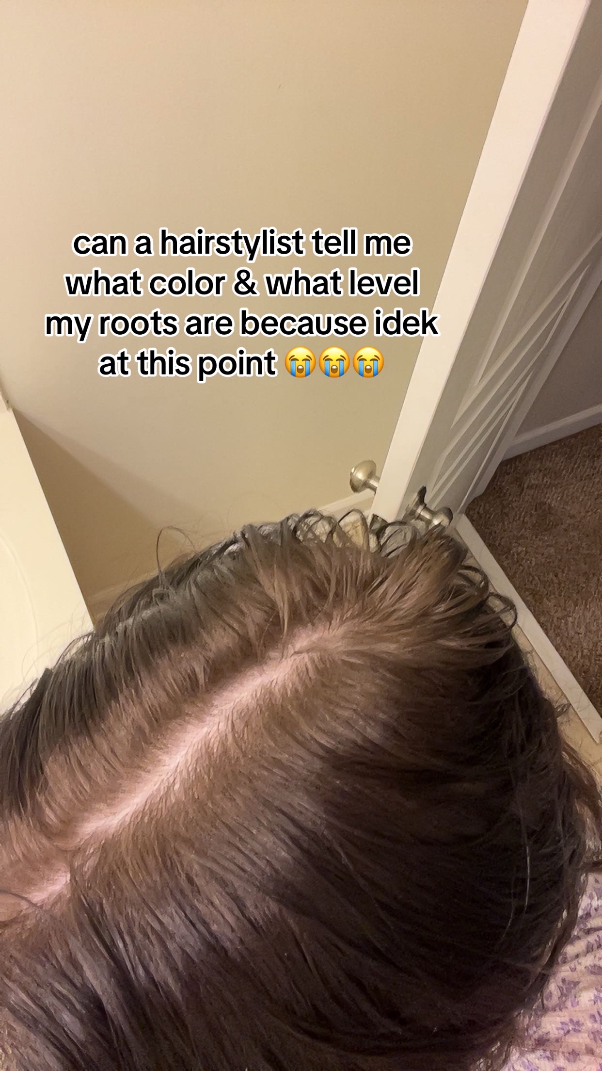 @🪷