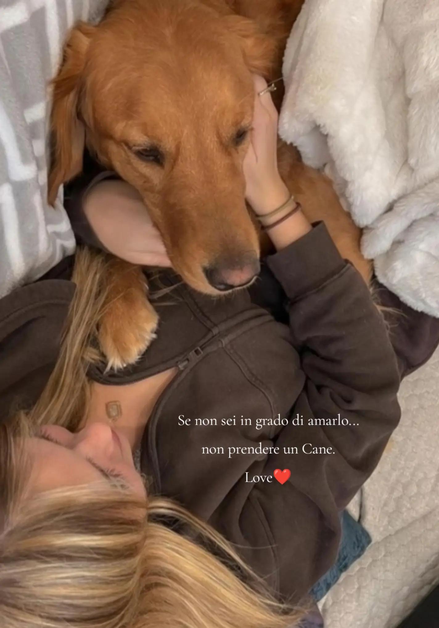 @Rossana♥️Billy♥️ Léon ♥️