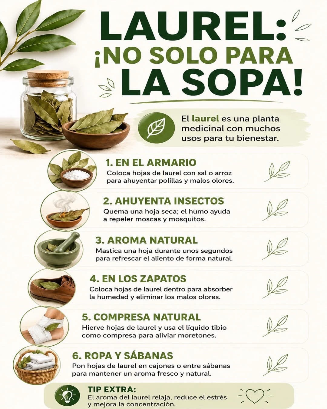 @recetas caseras♡
