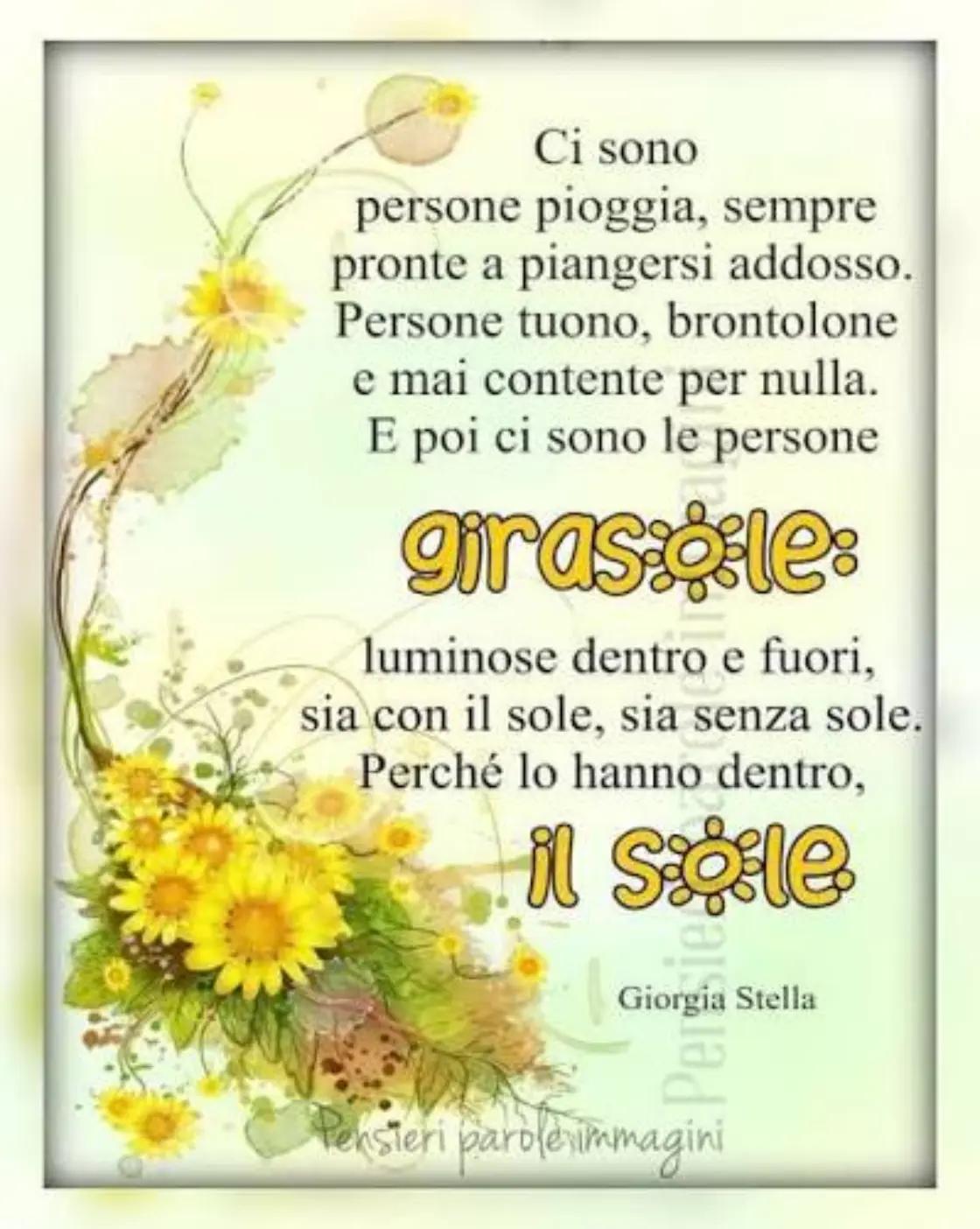 @Ninoilcamionistasiciliano🚛